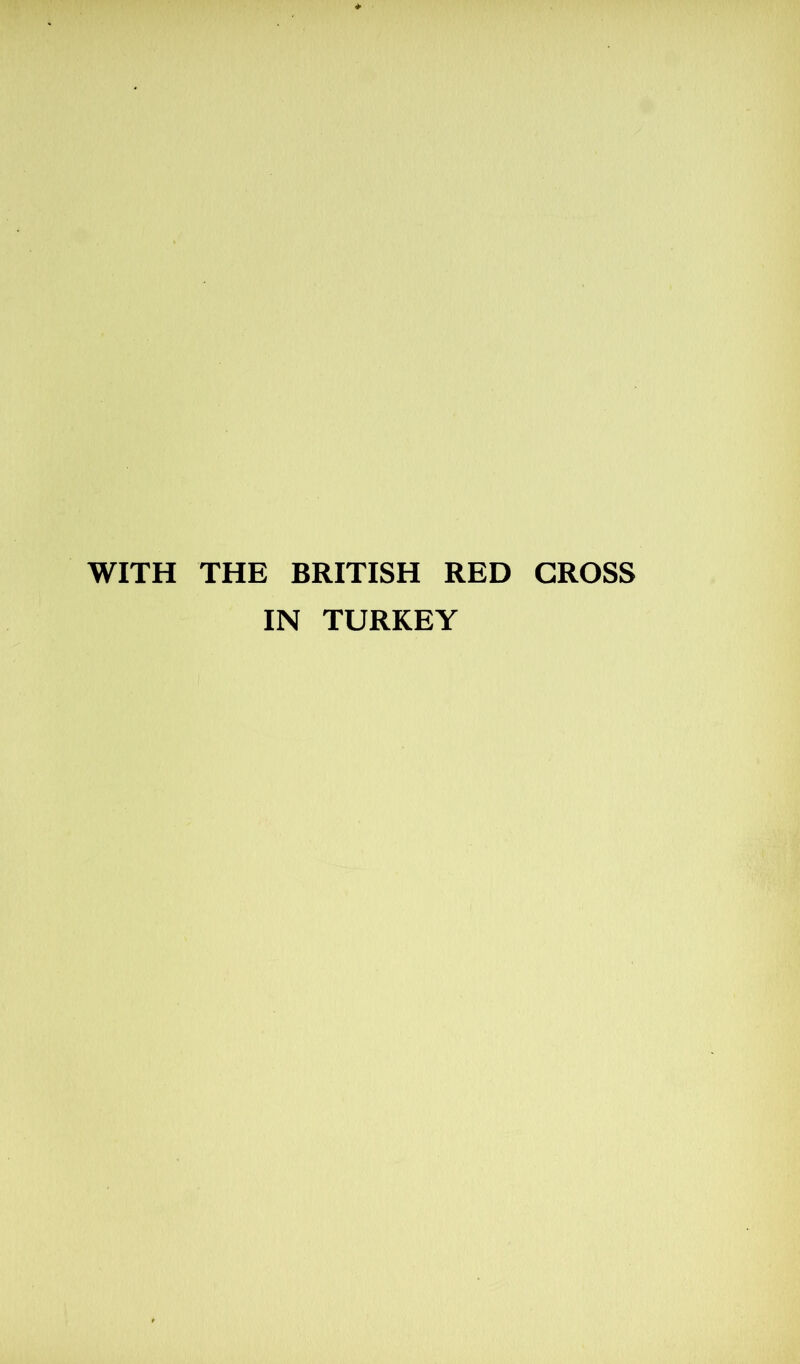 WITH THE BRITISH RED CROSS IN TURKEY