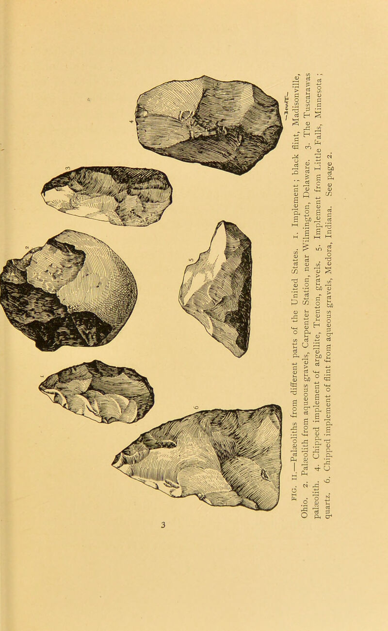 FIG. II.—Palseoliths from different parts of the United States, i. Implement ; black flint, Madisonville, Ohio. 2. Palseolith from aqueous gravels, Carpenter Station, near Wilmington, Delaware. 3. The Tuscarawas palseolith. 4. Chipped implement of argellite, Trenton, gravels. 5. Implement from Little Falls, Minnesota ; quartz. 6. Chipped implement of flint from aqueous gravels, Medora, Indiana. See page 2.