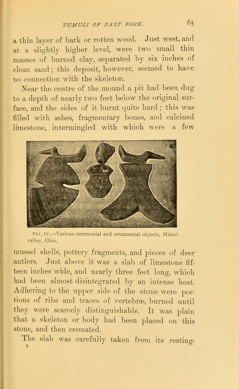 a thin layer of bark or rotten wood. Just west, and at a slightly higher level, were two small thin masses of burned clay, separated by six inches of clean sand; this deposit, however, seemed to have no connection with the skeleton. Near the centre of the mound a pit had been dug to a depth of nearly two feet below the original sur- face, and the sides of it burnt quite hard ; this was filled with ashes, fragmentary bones, and calcined limestone, intermingled with which were a few fig. iv.—Various ceremonial and ornamental objects, Miami valley, Ohio. mussel shells, pottery fragments, and pieces of deer antlers. Just above it was a slab of limestone fif- teen inches wide, and nearly three feet long, which had been almost disintegrated by an intense heat. Adhering to the upper side of the stone were por- tions of ribs and traces of vertebrae, burned until they were scarcely distinguishable. It was plain that a skeleton or body had been placed on this stone, and then cremated. The slab was carefully taken from its resting-