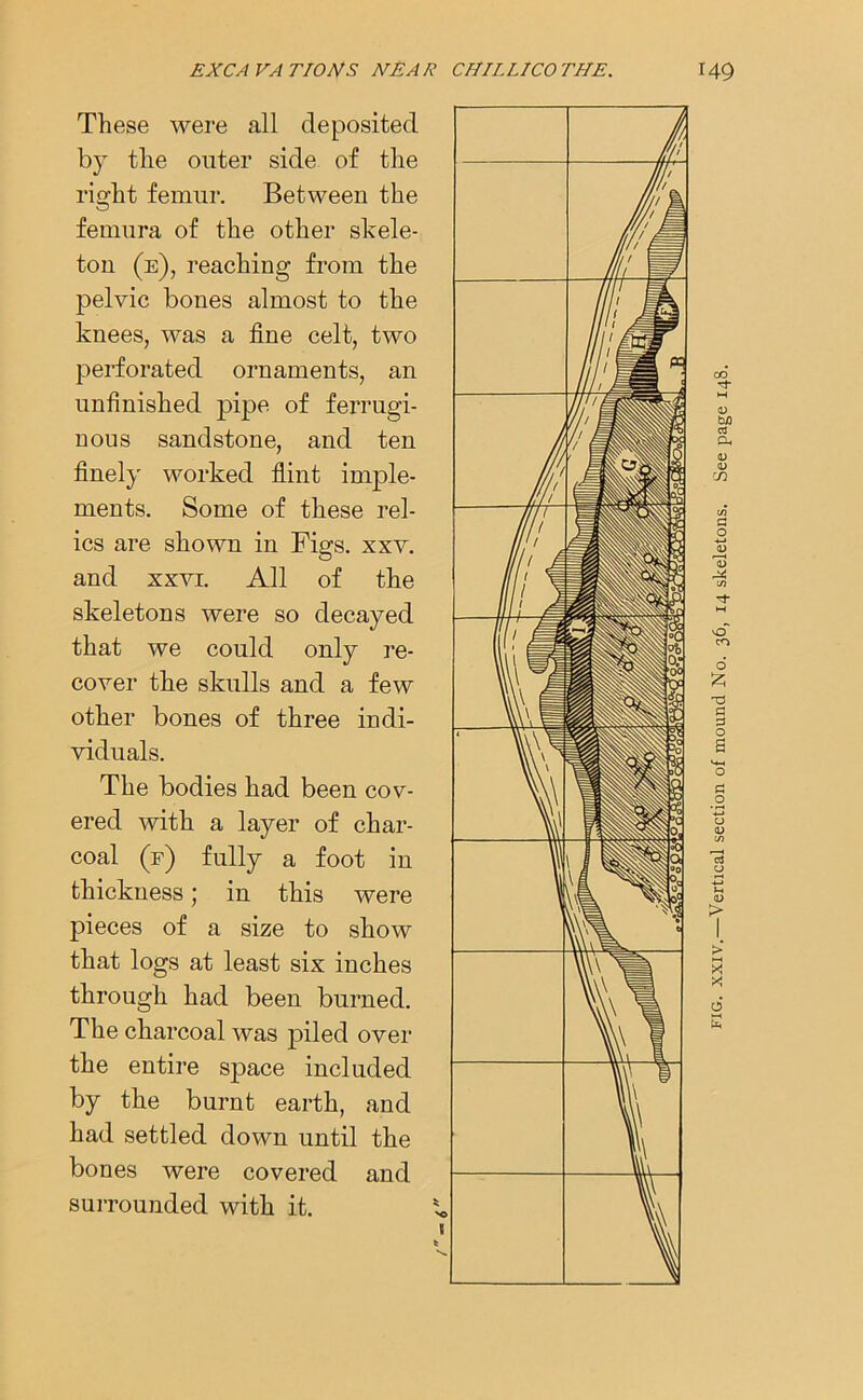 These were all deposited by the outer side of the right femur. Between the femura of the other skele- ton (e), reaching from the pelvic bones almost to the knees, was a fine celt, two perforated ornaments, an unfinished pipe of ferrugi- nous sandstone, and ten finely worked flint imple- ments. Some of these rel- ics are shown in Figs. xxv. and xxvi. All of the skeletons were so decayed that we could only re- cover the skulls and a few other bones of three indi- viduals. The bodies had been cov- ered with a layer of char- coal (f) fully a foot in thickness; in this were pieces of a size to show that logs at least six inches through had been burned. The charcoal was piled over the entire space included by the burnt earth, and had settled down until the bones were covered and surrounded with it. fig. xxiv.—Vertical section of mound No. 36, 14 skeletons. See page 148.