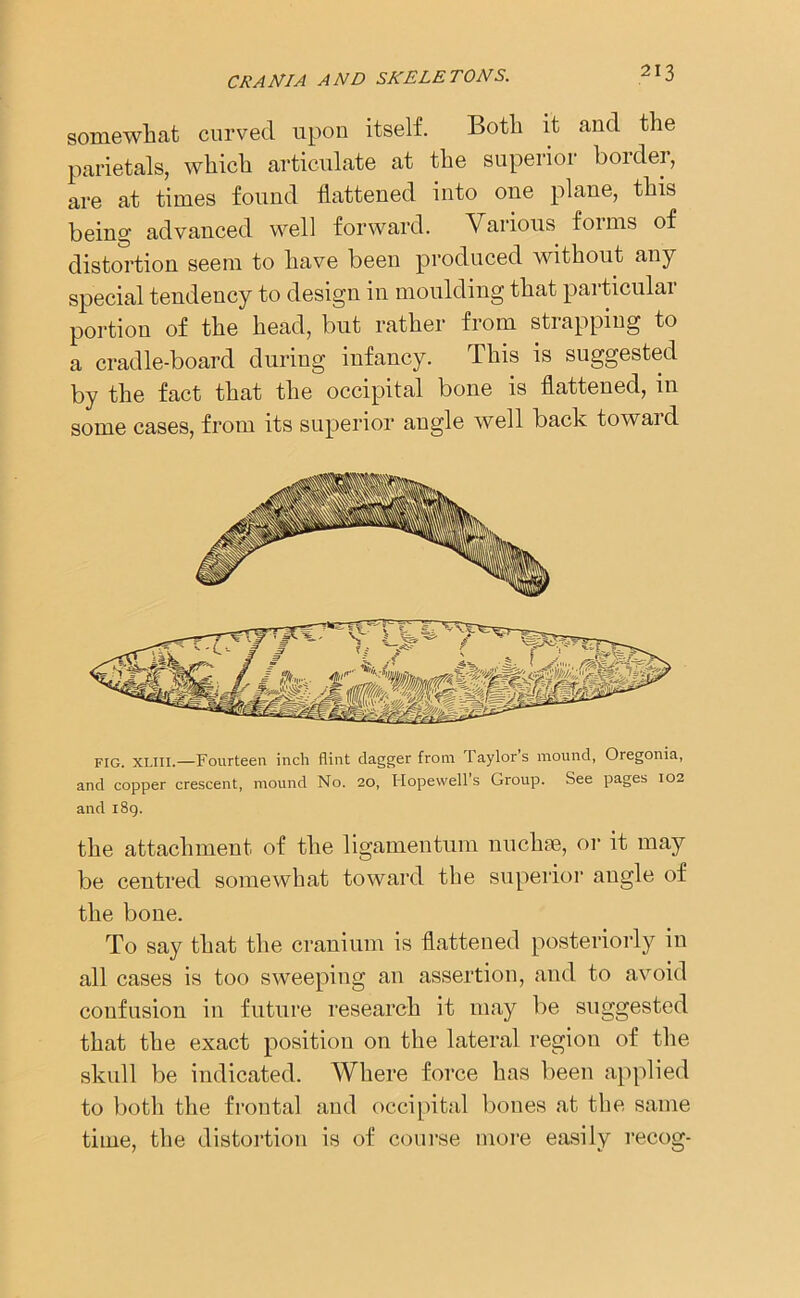 somewhat curved upon itself. Both it and the parietals, which articulate at the superior border, are at times found flattened into one plane, this being advanced well forward. Various forms of distortion seem to have been produced without any special tendency to design in moulding that particular portion of the head, but rather from strapping to a cradle-board during infancy. This is suggested by the fact that the occipital bone is flattened, in some cases, from its superior angle well back toward fig. xliii.—Fourteen inch flint dagger from laylors mound, Oregonia, and copper crescent, mound No. 20, Hopewell s Group. See pages 102 and i8g. the attachment of the ligamentum nuchse, or it may be centred somewhat toward the superior augle of the bone. To say that the cranium is flattened posteriorly in all cases is too sweeping an assertion, and to avoid confusion in future research it may be suggested that the exact position on the lateral region of the skull be indicated. Where force has been applied to both the frontal and occipital bones at the same time, the distortion is of course more easily recog-