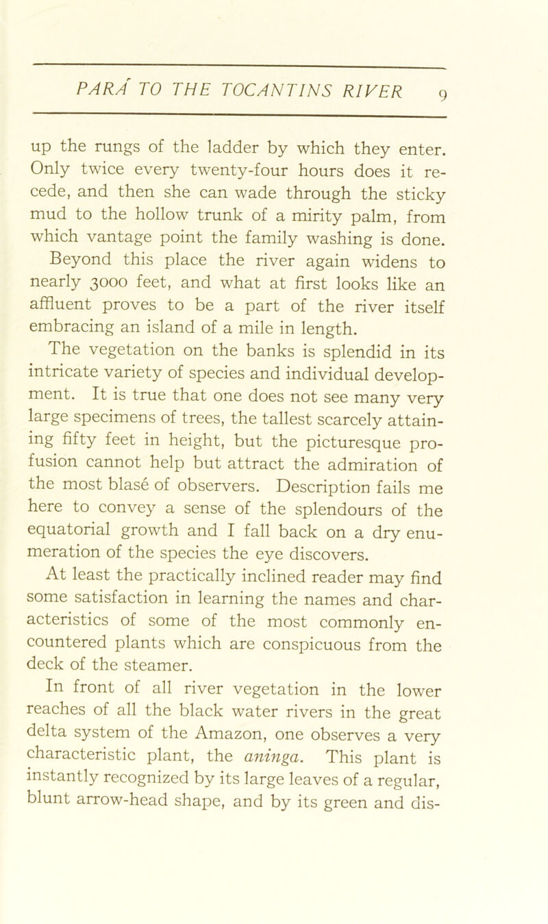 up the rungs of the ladder by which they enter. Only twice every twenty-four hours does it re- cede, and then she can wade through the sticky mud to the hollow trunk of a mirity palm, from which vantage point the family washing is done. Beyond this place the river again widens to nearly 3000 feet, and what at first looks like an affluent proves to be a part of the river itself embracing an island of a mile in length. The vegetation on the banks is splendid in its intricate variety of species and individual develop- ment. It is true that one does not see many very large specimens of trees, the tallest scarcely attain- ing fifty feet in height, but the picturesque pro- fusion cannot help but attract the admiration of the most blase of observers. Description fails me here to convey a sense of the splendours of the equatorial growth and I fall back on a dry enu- meration of the species the eye discovers. At least the practically inclined reader may find some satisfaction in learning the names and char- acteristics of some of the most commonly en- countered plants which are conspicuous from the deck of the steamer. In front of all river vegetation in the lower reaches of all the black water rivers in the great delta system of the Amazon, one observes a very characteristic plant, the aninga. This plant is instantly recognized by its large leaves of a regular, blunt arrow-head shape, and by its green and dis-