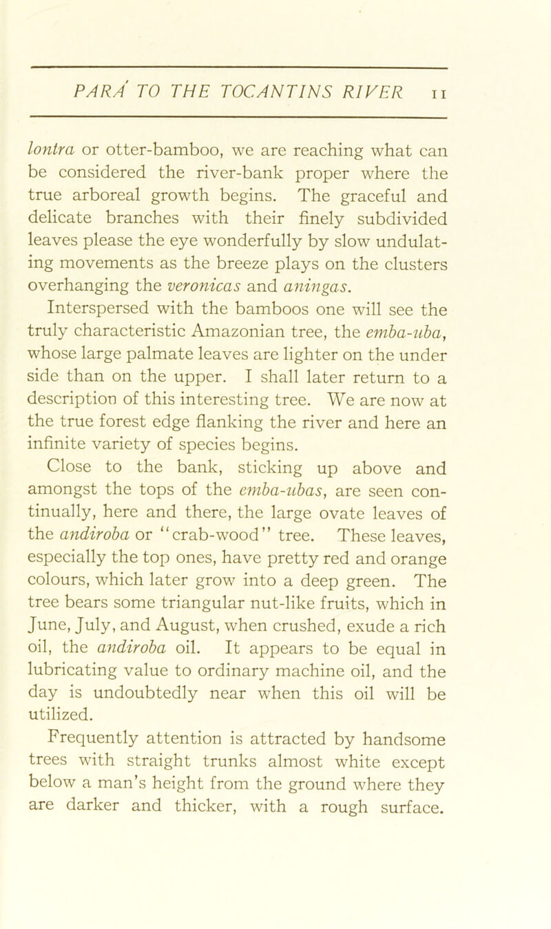 lonira or otter-bamboo, we are reaching what can be considered the river-bank proper where the true arboreal growth begins. The graceful and delicate branches with their finely subdivided leaves please the eye wonderfully by slow undulat- ing movements as the breeze plays on the clusters overhanging the veronicas and aningas. Interspersed with the bamboos one will see the truly characteristic Amazonian tree, the emha-uha, whose large palmate leaves are lighter on the under side than on the upper. I shall later return to a description of this interesting tree. We are now at the true forest edge flanking the river and here an infinite variety of species begins. Close to the bank, sticking up above and amongst the tops of the eniba-ubas, are seen con- tinually, here and there, the large ovate leaves of the andiroba or “crab-wood” tree. These leaves, especially the top ones, have pretty red and orange colours, which later grow into a deep green. The tree bears some triangular nut-like fruits, which in June, July, and August, when crushed, exude a rich oil, the andiroba oil. It appears to be equal in lubricating value to ordinary machine oil, and the day is undoubtedly near when this oil will be utilized. Frequently attention is attracted by handsome trees with straight trunks almost white except below a man’s height from the ground where they are darker and thicker, with a rough surface.