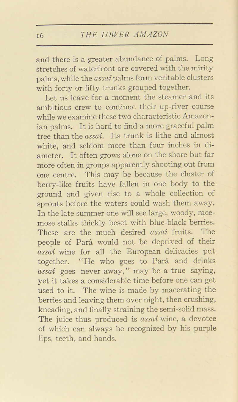 and there is a greater abundance of palms. Long stretches of waterfront are covered with the mirity palms, while the palms form veritable clusters with forty or fifty trunks grouped together. Let us leave for a moment the steamer and its ambitious crew to continue their up-river course while we examine these two characteristic Amazon- ian palms. It is hard to find a more graceful palm tree than the assai. Its trunk is lithe and almost white, and seldom more than four inches in di- ameter. It often grows alone on the shore but far more often in groups apparently shooting out from one centre. This may be because the cluster of berry-like fruits have fallen in one body to the ground and given rise to a w’hole collection of sprouts before the waters could wash them away. In the late summer one will see large, woody, race- mose stalks thickly beset with blue-black berries. These are the much desired assai fruits. The people of Para would not be deprived of their assai wine for all the European delicacies put together. “He who goes to Para and drinks assai goes never away,” may be a true saying, yet it takes a considerable time before one can get used to it. The wine is made by macerating the berries and leaving them over night, then crushing, kneading, and finally straining the semi-solid mass. The juice thus produced is assai wine, a devotee of which can always be recognized by his purple lips, teeth, and hands.