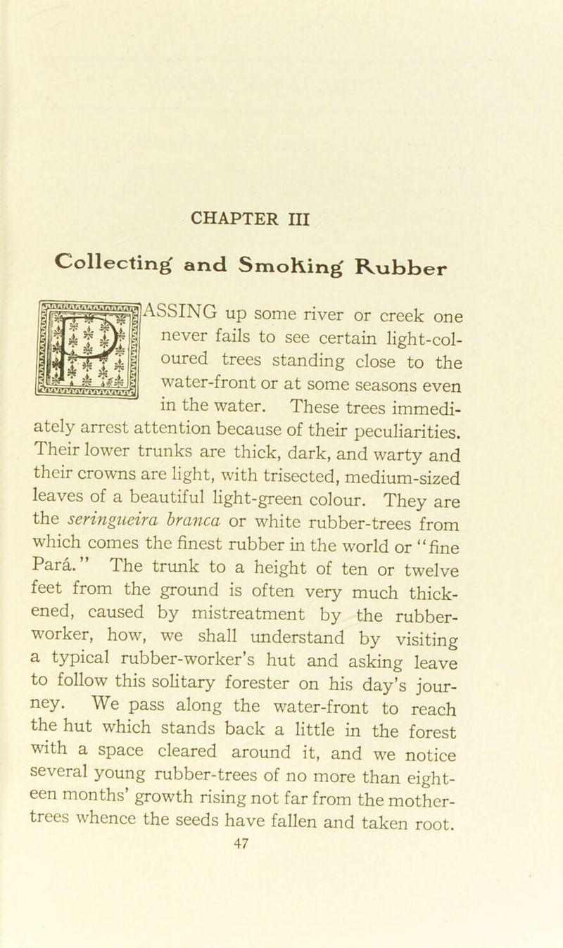 CHAPTER III Collecting and Smoking R.\ih>l3er | ASSING up some river or creek one never fails to see certain light-col- oured trees standing close to the water-front or at some seasons even in the water. These trees immedi- ately arrest attention because of their peculiarities. Their lower trunks are thick, dark, and warty and their crowns are light, with trisected, medium-sized leaves of a beautiful light-green colour. They are the seringueira branca or white rubber-trees from which comes the finest rubber in the world or “fine Para.” The trunk to a height of ten or twelve feet from the ground is often very much thick- ened, caused by mistreatment by the rubber- worker, how, we shall understand by visiting a typical rubber-worker’s hut and asking leave to follow this solitary forester on his day’s jour- ney. We pass along the water-front to reach the hut which stands back a little in the forest with a space cleared around it, and we notice several young rubber-trees of no more than eight- een months’ growth rising not far from the mother- trees whence the seeds have fallen and taken root.