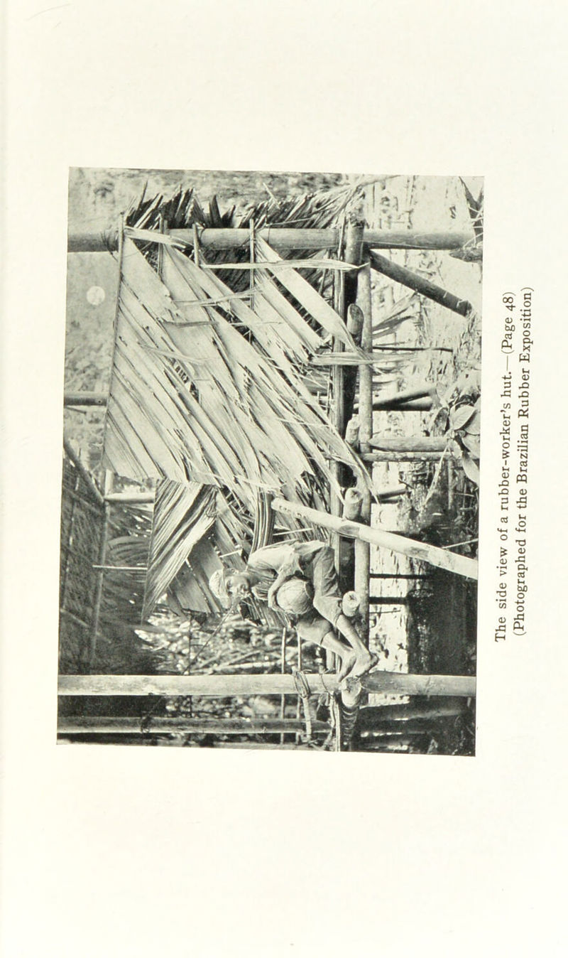 The side view of a rubber-worker’s hut—(Page 48) (Photographed for the Brazilian Rubber Exposition)