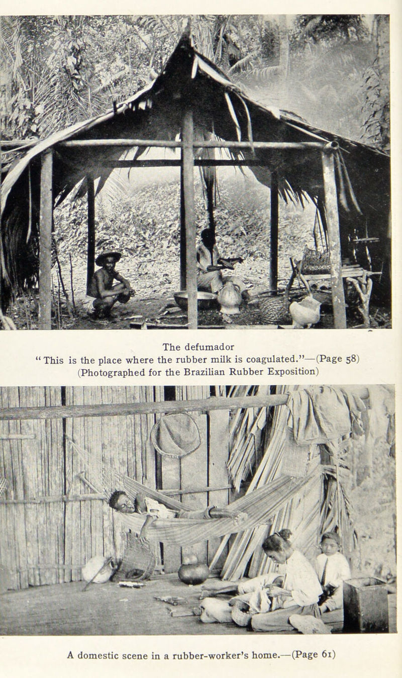 The defumador “ This is the place where the rubber milk is coagulated.”—(Page 58) (Photographed for the BraziUan Rubber Exposition) i ' A domestic scene in a rubber-worker’s home.—(Page 61)