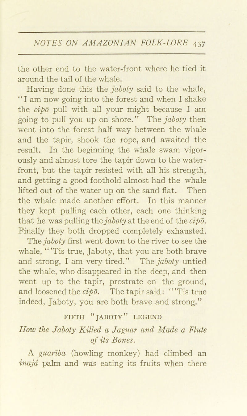 the other end to the water-front where he tied it around the tail of the whale. Having done this the jaboty said to the whale, “I am now going into the forest and when I shake the cipd pull with all your might because I am going to pull you up on shore.” The, jaboty then went into the forest half way between the whale and the tapir, shook the rope, and awaited the result. In the beginning the whale swam vigor- ously and almost tore the tapir down to the water- front, but the tapir resisted with all his strength, and getting a good foothold almost had the whale lifted out of the water up on the sand flat. Then the whale made another effort. In this manner they kept pulling each other, eaeh one thinking that he was pulling the jaboty at the end of the cipd. Finally they both dropped completely exhausted. The jaboty first went down to the river to see the whale, ”’Tis true, Jaboty, that you are both brave and strong, I am very tired.” The jaboty untied the whale, who disappeared in the deep, and then went up to the tapir, prostrate on the ground, and loosened the cipd. The tapir said: “ ’Tis true indeed, Jaboty, you are both brave and strong.” FIFTH “jaboty” LEGEND How the Jaboty Killed a Jaguar and Made a Flute of its Bones. A guarlba (howling monkey) had climbed an inajd palm and was eating its fruits when there