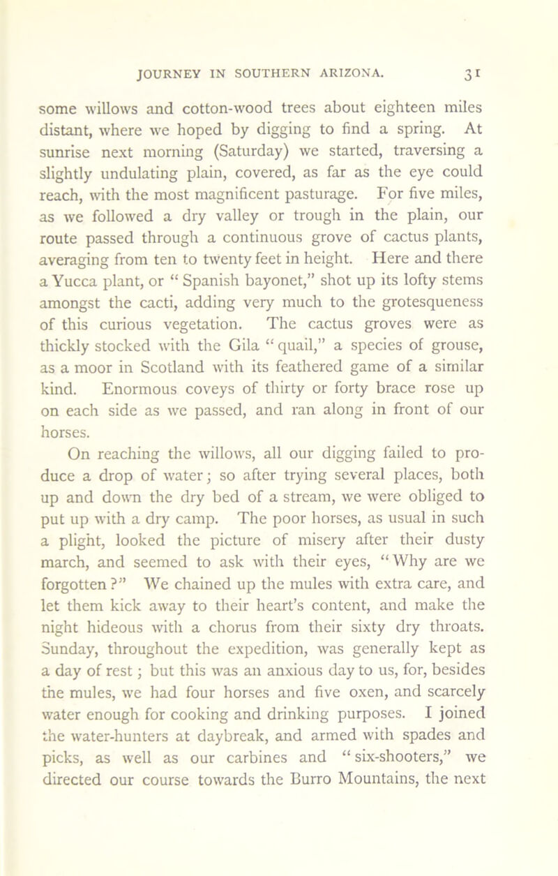 some willows and cotton-wood trees about eighteen miles distant, where we hoped by digging to find a spring. At sunrise next morning (Saturday) we started, traversing a slightly undulating plain, covered, as far as the eye could reach, with the most magnificent pasturage. For five miles, as we followed a dry valley or trough in the plain, our route passed through a continuous grove of cactus plants, averaging from ten to twenty feet in height. Here and there a Yucca plant, or “ Spanish bayonet,” shot up its lofty stems amongst the cacti, adding very much to the grotesqueness of this curious vegetation. The cactus groves were as thickly stocked with the Gila “ quail,” a species of grouse, as a moor in Scotland with its feathered game of a similar kind. Enormous coveys of thirty or forty brace rose up on each side as we passed, and ran along in front of our horses. On reaching the willows, all our digging failed to pro- duce a drop of water; so after trying several places, both up and dowm the dry bed of a stream, we were obliged to put up with a dry camp. The poor horses, as usual in such a plight, looked the picture of misery after their dusty march, and seemed to ask with their eyes, “Why are we forgotten ?” We chained up the mules with extra care, and let them kick away to their heart’s content, and make the night hideous with a chorus from their sixty dry throats. Sunday, throughout the expedition, was generally kept as a day of rest; but this was an anxious day to us, for, besides the mules, we had four horses and five oxen, and scarcely water enough for cooking and drinking purposes. I joined the water-hunters at daybreak, and armed with spades and picks, as well as our carbines and “ six-shooters,” we directed our course towards the Burro Mountains, the next