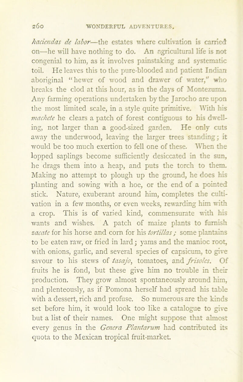 haciendas de labor—the estates where cultivation is carried on—he will have nothing to do. An agricultural life is not congenial to him, as it involves paiirstaking and systematic toil. He leaves this to the pure-blooded and patient Indian aboriginal “hewer of wood and drawer of water,” who breaks the clod at this hour, as in the days of Montezuma. Any farming operations undertaken by the Jarocho are upon the most limited scale, in a style quite primitive. With his machete he clears a patch of forest contiguous to his dwell- ing, not larger than a good-sized garden. He only cuts away the underwood, leaving the larger trees standing; it would be too much exertion to fell one of these. When the lopped saplings become sufficiently desiccated in the sun, he drags them into a heap, and puts the torch to them. Making no attempt to plough up the ground, he does his planting and sowing with a hoe, or the end of a pointed stick. Nature, exuberant around him, completes the culti- vation in a few months, or even weeks, rewarding him with a crop. This is of varied kind, commensurate with his wants and wishes. A patch of maize plants to furnish zacate for his horse and corn for his tortillas ; some plantains to be eaten raw, or fried in lard; yams and the manioc root, with onions, garlic, and several species of capsicum, to give savour to his stews of tasajo, tomatoes, and frisolcs. Of fruits he is fond, but these give him no trouble in their production. They grow almost spontaneously around him, and plenteously, as if Pomona herself had spread his table with a dessert, rich and profuse. So numerous are the kinds set before him, it would look too like a catalogue to give but a list of their names. One might suppose that almost every genus in the Genera Plantarum had contributed its quota to the Mexican tropical fruit-market.