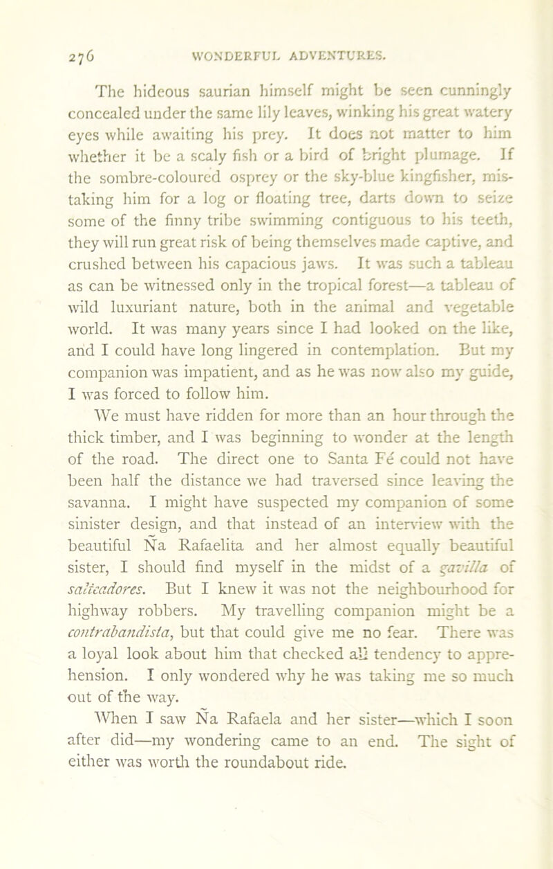 The hideous saurian himself might be seen cunningly concealed under the same lily leaves, winking his great watery eyes while awaiting his prey. It does not matter to him whether it be a scaly fish or a bird of bright plumage. If the sombre-coloured osprey or the sky-blue kingfisher, mis- taking him for a log or floating tree, darts down to seize some of the finny tribe swimming contiguous to his teeth, they will run great risk of being themselves made captive, and crushed between his capacious jaws. It was such a tableau as can be witnessed only in the tropical forest—a tableau of wild luxuriant nature, both in the animal and vegetable world. It was many years since I had looked on the like, and I could have long lingered in contemplation. But my companion was impatient, and as he was now also my guide, I was forced to follow him. AVe must have ridden for more than an hour through the thick timber, and I was beginning to wonder at the length of the road. The direct one to Santa Fe could not have been half the distance we had traversed since lea\ing the savanna. I might have suspected my companion of some sinister design, and that instead of an inteniew with the beautiful Na Rafaelita and her almost equally beautiful sister, I should find myself in the midst of a qavilla of saucado?’es. But I knew it was not the neighbourhood for highway robbers. My travelling companion might be a contrabandista, but that could give me no fear. There was a loyal look about him that checked ali tendency to appre- hension. I only wondered why he was taking me so much out of the way. AVhen I saw Na Rafaela and her sister—which I soon after did—my wondering came to an end. The sight of either was wortli the roundabout ride.
