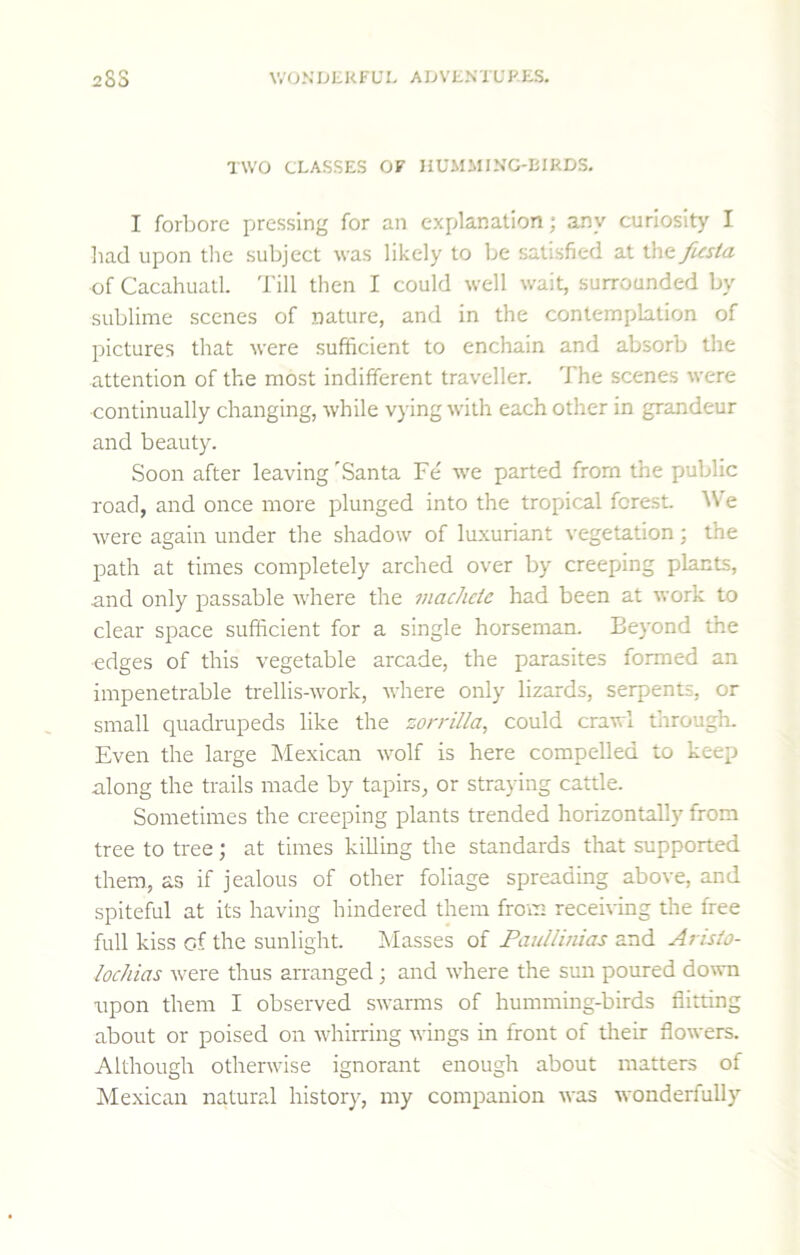 TWO CLASSES OF HUMMING-EIRDS, I forbore pressing for an explanation; any curiosity I liad upon tlie subject was likely to be satisfied at ^^c.fusta of Cacahuatl. Till then I could well wait, surrounded by sublime scenes of nature, and in the contemplation of pictures that were sufficient to enchain and absorb the attention of the most indifferent traveller. The scenes were •continually changing, while v)-ing with each other in grandeur and beauty. Soon after leaving'Santa Fe we parted from the public road, and once more plunged into the tropical forest AVe were again under the shadow of lu.xuriant vegetation; the path at times completely arched over by creeping plants, and only passable where the macheic had been at work to clear space sufficient for a single horseman. Beyond the edges of this vegetable arcade, the parasites formed an impenetrable trellis-work, where only lizards, serpents, or small quadrupeds like the zorrilla, could crawl through. Even the large Mexican wolf is here compelled to keep along the trails made by tapirs, or straying cattle. Sometimes the creeping plants trended horizontally from tree to tree; at times killing the standards that supported them, as if jealous of other foliage spreading above, and spiteful at its having hindered them from receiving the free full kiss of the sunlight. Masses of Paullinias and Arisio- locJiias were thus arranged; and where the sun poured do\vn upon them I observed swarms of humming-birds flitting about or poised on whirring wings in front of their flowers. Although otherwise ignorant enough about matters of Mexican natural history, my companion was wonderfully