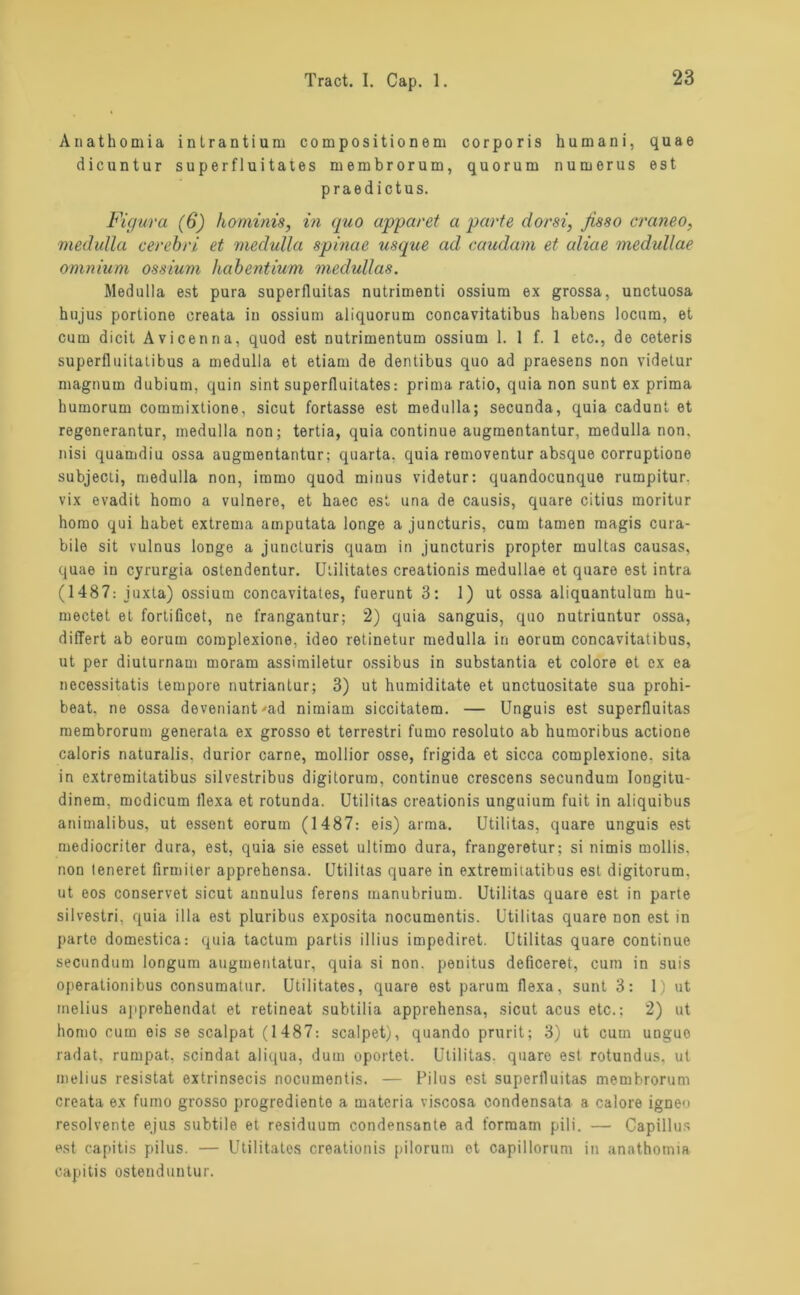 Anathomia inlrantium compositionem corporis humani, quae dicuntur superfluitates meinbrorum, quorum n u m e r u s est praedictus. Figura (6) hominis, in quo apparet a parte dorsi, fisso craneo, medulla cerehri et medulla spinne usque ad caudam et aliae medullae omniuni ossiuni habentium medullas. Medulla est pura superfluitas nutrimenti ossiura ex grossa, unctuosa hujus portione creata in ossium aliquorum concavitatibus habens locura, et cum dicit Avicenna, quod est nutrimentum ossium 1. 1 f. 1 etc., de ceteris superfluitatibus a medulla et etiam de dentibus quo ad praesens non videtur magnum dubium, quin sint superfluitates: prima ratio, quia non sunt ex prima humorum commixtione. sicut fortasse est medulla; secunda, quia cadunt et regenerantur, medulla non; tertia, quia continue augmentantur, medulla non, nisi quamdiu ossa augmentantur; quarta. quia removentur absque corruptione subjecti, medulla non, immo quod minus videtur: quandocunque rumpitur. vix evadit homo a vulnere, et haec est una de causis, quare citius moritur homo qui habet extrema amputata longe a juncturis, cum tarnen magis cura- bile sit vulnus longe a juncturis quam in juncturis propter multas causas, quae in cyrurgia ostendentur. Utilitates creationis medullae et quare est intra (1487: iuxta) ossium concavitates, fuerunt 3: 1) ut ossa aliquantulum hu- mectet et fortificet, ne frangantur; 2) quia sanguis, quo nutriuntur ossa, differt ab eorum complexione, ideo retinetur medulla in eorum concavitatibus, ut per diuturnam moram assimiletur ossibus in substantia et colore et ex ea necessitatis tempore nutriantur; 3) ut humiditate et unctuositate sua prohi- beat, ne ossa deveniant'ad nimiam siccitatem. — Unguis est superfluitas membrorum generata ex grosso et terrestri fumo resoluto ab humoribus actione caloris naturalis. durior carne, mollior osse, frigida et sicca complexione. sita in extremitatibus silvestribus digitorum. continue crescens secundum Iongitu- dinem. modicum flexa et rotunda. Utilitas creationis unguium fuit in aliquibus animalibus, ut essent eorum (1487: eis) arma. Utilitas, quare unguis est mediocriter dura, est, quia sie esset ultimo dura, frangeretur; si nimis mollis, non teneret firmiter apprehensa. Utilitas quare in extremitatibus est digitorum, ut eos conservet sicut annulus ferens manubrium. Utilitas quare est in parte silvestri. quia illa est pluribus exposita nocumentis. Utilitas quare non est in parte domestica: quia tactum partis illius impediret. Utilitas quare continue secundum longum auguientatur, quia si non. penitus deficeret, cum in suis operationibus consumatur. Utilitates, quare est parum flexa, sunt 3: 1) ut melius apprehendat et retineat subtilia apprehensa, sicut acus etc.; 2) ut homo cum eis se scalpat (1487: scalpet), quando prurit; 3) ut cum unguo radat, rumpat, scindat aliqua, dum oportet. Utilitas. quare est rotundus, ut melius resistat extrinsecis nocumentis. — Pilus est superfluitas membrorum creata ex fumo grosso progrediente a materia viscosa condensata a calore igneo resolvente ejus subtile et residuum condensante ad formam pili. — Capillus est capitis pilus. — Utilitates creationis pilorum ot capillorum in anathomia capitis ostenduntur.