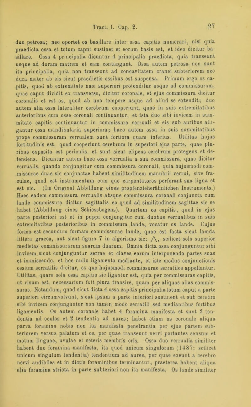 duo petrosa; nec oportet os basillare inter ossa capitis numerari, nisi quia praedicta ossa et totum caput sustinet et eorum basis est, et ideo dicitur ba- sillare. Ossa 4 principalia dicuntur 4 principalia praedicta, quia transeunt usque ad duram matrem et eam contaDgunt. Ossa autem petrosa non sunt ita principalia, quia non transeunt ad concavitatem cranei subteriorem nec dura rnater ab eis sicut praedictis ossibus est suspensa. Primum ergo os ca- pitis, quod ab extiemitate nasi superiori protenditur usque ad commissuram, quae caput dividit ex transverso, dicitur coronale, et ejus commissura dicitur coronalis et est os, quod ab uno tempore usque ad aliud se extendit; duo autem alia ossa lateraliter cerebrum cooperiunt, quae in suis extremitatibus anterioribus cum osse coronali continuantur, et ista duo sibi iuvicem in sum- mitate capitis continuantur in commissura verruali et eis sub auribus alli- gantur ossa mandibularia superiora; liaec autem ossa in suis summitatibus prope commissuram verrualem sunt fortiora quam inferius. Utilitas hujus fortitudinis est, quod cooperiunt cerebrum in superiori ejus parte, quae plu- ribus exposita est periculis. et sunt sicut clipeus cerebrum protegens et de- fendens. Dicuntur autem baec ossa verrualia a sua commissura, quae dicitur verrualis. quando conjungitur cum commissura coronali, quia hujusmodi com- missurae duae sic conjunctae habent simiiitudinem manubrii verrui, sive fra- culae, quod est instrumentum cum quo carpentatores perforant sua ligna et est sic. (Im Original Abbildung eines propfenzieherähnlichen Instruments.) Haec eadem commissura verrualis absque commissura coronali conjuncta cum lande commissura dicitur sagittalis eo quod ad simiiitudinem sagittae sic se habet (Abbildung eines Schiessbogens). Quartum os capitis, quod in ejus parte posteriori est et in puppi conjungitur cum duobus verrualibus in suis extremitatibus posterioribus in commissura lande, vocatur os lande. Cujus forma est secundum formam commissurae lande, quae est facta sicut lamda littera gracca, aut sicut figura 7 in algorismo sic: /\, scilicet sola superior medietas commissurarum suarum duarum. Omnia dicta ossa conjunguntur sibi invicem sicut conjungunt ir serrae et claves earum interponendo partes suas et immiscendo, et hoc nullo ligamento mediante, et iste modus conjunctionis ossium serratilis dicitur, ex quo hujusmodi commissurae serratiles appellantur. Utilitas, quare sola ossa capitis sic ligantur est, quia per commissuras capitis, ut visum est. necessarium fuit plura transire, quam per aliquas alias commis- suras. Notandum, quod sicut dicta 4 ossa capitis principalia totum caput a parte superiori circuinvolvunt, sicut ipsum a parte inferiori sustir.ent et sub cerebro sibi invicem conjunguntur non tarnen modo serratili sed mediantibus fortibus ligamontis. Os autem coronale habet 4 foramina manifesta et sunt 2 ten- dentia ad oculos et 2 tendentia ad nares; habet etiam os coronale aliqua parva foramina nobis non ita manifesta penetrantia per ejus partem sub- teriorem versus palatum et os. per quae transeunt nervi portantes sensutn et motum linguae, uvulae et ceteris membris oris. Ossa duo verrualia similiter habent duo foramina manifesta, ita quod unicum singulorum (1487: scilicet unicum singulum tendenlia) tendentium ad aures, per quae exeunt a cerebro nervi audibiles et in dictis foraminibus terminantur, praeterea habent aliqua alia foramina stricta in parle subteriori non ita manifesta. Os lande similiter