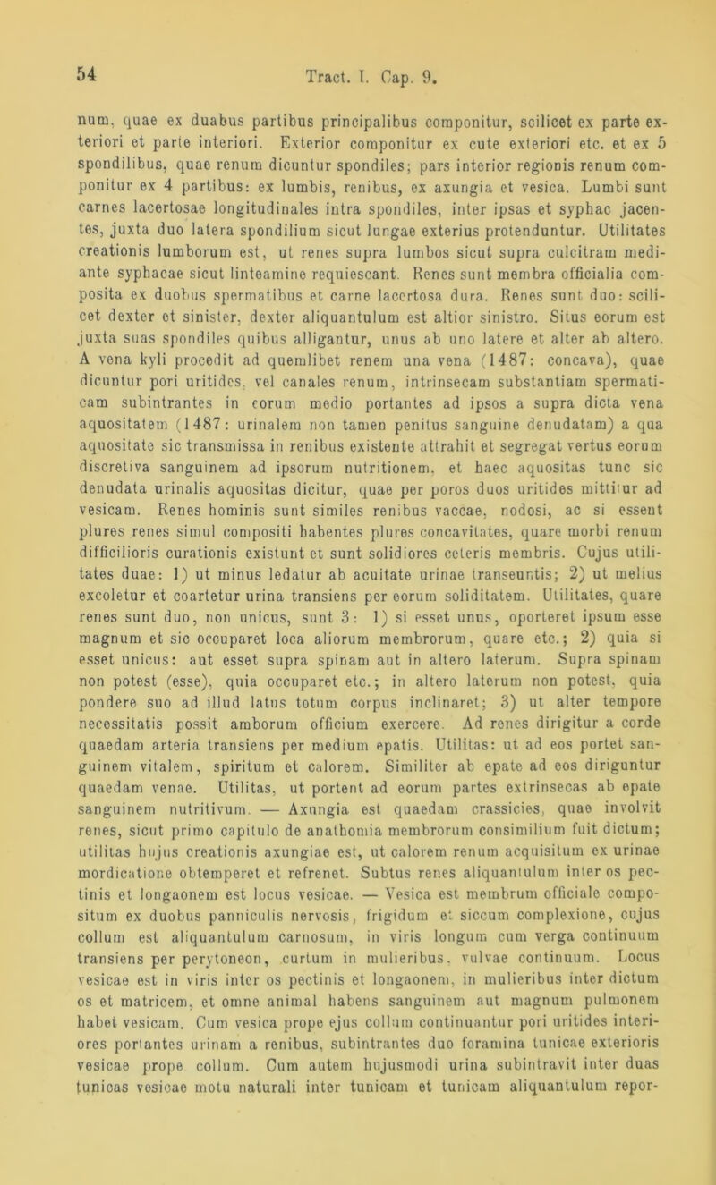 num, quae ex duabus partibus principalibus componitur, scilicet ex parte ex- teriori et parte interiori. Exterior componitar ex oute exteriori etc. et ex 5 spondilibus, quae renum dicuntur spondiles; pars interior regionis renum com- ponitur ex 4 partibus: ex lumbis, renibus, ex axungia et vesica. Lumbi sunt carnes lacertosae longitudinales intra spondiles, inter ipsas et syphac jacen- tes, juxta duo lalera spondilium sicut lungae exterius protenduntur. Utilitates creationis lumborum est, ut renes supra lumbos sicut supra culcitram medi- ante syphacae sicut linteamine requiescant. Renes sunt membra officialia com- posita ex duobus spermatibus et carne lacertosa dura. Renes sunt duo: scili- cet dexter et sinister, dexter aliquantulum est altior sinistro. Situs eorum est juxta suas spondiles quibus alligantur, unus ab uno latere et alter ab altero. A vena kyli procedit ad quemlibet renem una vena (1487: concava), quae dicuntur pori uritides. vel canales renum, intrinsecam substantiam spermati- cam subintrantes in eorum medio portantes ad ipsos a supra dicta vena aquositatem (1487: urinalem non tarnen penitus sanguine denudatam) a qua aquositate sic transmissa in renibus existente attrahit et segregat vertus eorum discretiva sanguinem ad ipsorum nutritionem. et haec aquositas tune sic denudata urinalis aquositas dicitur, quae per poros duos uritides mittitur ad vesicam. Renes hominis sunt similes renibus vaccae, nodosi, ac si essent plures renes simul compositi babentes plures concavitates, quare morbi renum difficilioris curationis existunt et sunt solidiores ceteris membris. Cujus utili- tates duae: 1) ut minus ledatur ab aeuitate urinae transeur.tis; 2) ut melius excoletur et coartetur urina transiens per eorum soliditatem. Utilitates, quare renes sunt duo, non unicus, sunt 3: 1) si esset unus, oporteret ipsum esse magnum et sic occuparet loca aliorum meinbrorum, quare etc.; 2) quia si esset unicus: aut esset supra spinam aut in altero laterum. Supra spinam non potest (esse), quia occuparet etc.; in altero laterum non potest, quia pondere suo ad illud latus totum Corpus inclinaret; 3) ut alter tempore necessitatis possit araborum officium exercere. Ad renes dirigitur a corde quaedam arteria transiens per medium epatis. Utilitas: ut ad eos portet san- guinem vitalem, spiritum et calorem. Similiter ab epate ad eos diriguntur quaedam venae. Utilitas, ut portent ad eorum partes extrinsecas ab epate sanguinem nutritivum. — Axungia est quaedam crassicies, quae involvit renes, sicut primo capitulo de anathomia membrorum consimilium fuit dictum; utilitas hujus creationis axungiae est, ut calorem renum acquisitum ex urinae mordicatione obtemperet et refrenot. Subtus renes aliquantulum inter os pec- tinis et longaonem est locus vesicae. — Vesica est meinbrum officiale compo- situm ex duobus panniculis nervosis, frigidum et siccum complexione, cujus collum est aliquantulum carnosum, in viris longum cum verga continuum transiens per perytoneon, curtum in mulieribus. vulvae continuum. Locus vesicae est in viris inter os pectinis et longaonem, in mulieribus inter dictum os et matricem, et omne animal liabens sanguinem aut magnum pulmonera habet vesicam. Cum vesica prope ejus collum continuantur pori uritides interi- ores portantes urinam a renibus, subintrantes duo foramina tunicae exterioris vesicae prope collum. Cum autem hujusmodi urina subintravit inter duas tunicas vesicae motu naturali inter tunicam et tunicam aliquantulum repor-