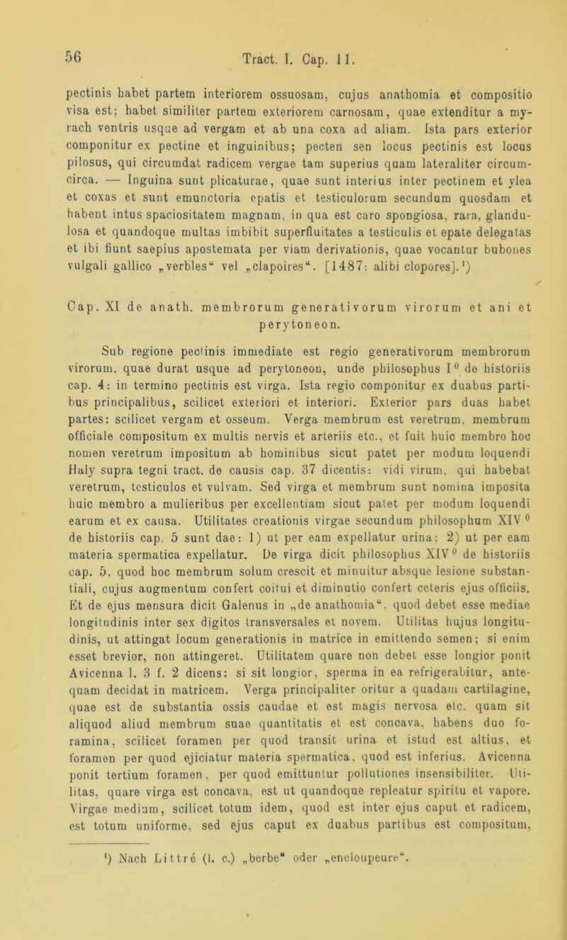 pectinis habet partem interiorem ossuosam, cujus anathomia et compositio visa est; habet similiter partem exteriorem carnosara, quae extenditur a my- rach ventris usque ad vergam et ab una coxa ad aliam. Ista pars exterior componitur ex pectine et inguinibus; pecten sen locus pectinis est locus pilosus, qui circumdat radicem vergae tarn superius quam lateraliter circum- circa. — Inguina sunt plicaturae, quae sunt interius inter pectinem et ylea et coxas et sunt emunctoria epatis et testiculorum secundum quosdam et habent intus spaciositatem magnam, in qua est caro spongiosa, rara, glandu- losa et quandoque multas imbibit superfluitates a testiculis et epate delegatas et ibi fiunt saepius apostemata per viam derivationis, quae vocantur bubones vulgali gallico „verbles“ vel „clapoires“. [1487: alibi clopores].1) Cap. XI de anath. membrorum generati vorum virorum et ani et pery ton eon. Sub regione pectinis immediate est regio generativorum membrorum virorum, quae durat usque ad perytoneon, unde philosophus 1° de historiis cap. 4: in termino pectinis est virga. Ista regio componitur ex duabus parti- bus principalibus, scilicet exteriori et interiori. Exterior pars duas habet partes: scilicet vergam et osseum. Verga membrum est veretrum, membrum officiale compositum ex multis nervis et arteriis etc., et fuit huic membro hoc nomen veretrum impositum ab hominibus sicut patet per modum loquendi Haly supra tegni tract. de causis cap. 37 dicentis: vidi virum, qui habebat veretrum, tcsticulos et vulvam. Sed virga et membrum sunt nomina imposita huic membro a mulieribus per excellontiam sicut patet per modum loquendi earum et ex causa. Utilitates creationis virgae secundum philosophum XIV 0 de historiis cap. 5 sunt dae: 1) ut per eam expellatur urina: 2) ut per earn materia spermatica expellatur. De virga dicit philosophus XIV 0 de historiis cap. 5, quod hoc membrum solum crescit et minuitur absque lesione substan- tiali, cujus augmentum confert coitui et diminutio conl'ert ccteris ejus ofliciis. Et de ejus mensura dicit Galenus in „de anathomia“. quod debet esse mediae longitudinis inter sex digitos transversales et novem. Utilitas hujus longitu- dinis, ut attingat locum generationis in matrice in emittendo semen; si enim esset brevior, non attingeret. Utilitatem quare non debet esse longior ponit Avicenna 1. 3 f. 2 dicens: si sit longior, sperma in ea refrigerabitur, ante- quam decidat in matricem. Verga principaliter oritur a quadam cartilagine, quae est de substantia ossis caudae et est magis nervosa etc. quam sit aliquod aliud membrum suae quanlitatis et est concava. habens duo fo- ramina, scilicet foramen per quod transit urina et istud est altius, et l'oramon per quod ejiciatur materia spermatica, quod est inferius. Avicenna ponit tertium foramen, per quod emittuntur pollutiones insensibilitor. Uti- litas, quare virga est concava, est ut quandoque repleatur spiritu et vapore. Virgae medium, scilicet totum idem, quod est inter ejus caput et radicem, est totum uniforme, sed ejus caput ex duabus partibus est compositum, l) Nach Littre (I. c.) „berbe“ oder „eneloupeure“.