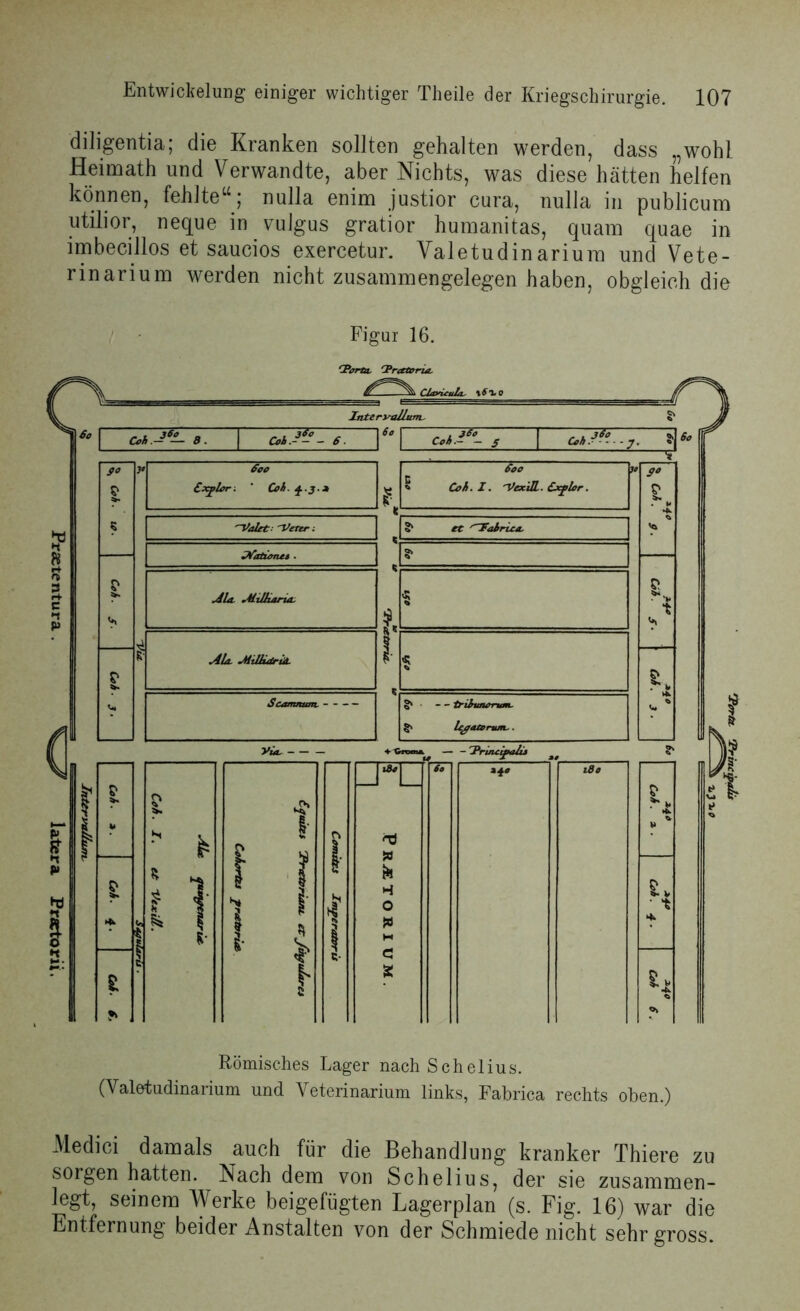 diligentia; die Kranken sollten gehalten werden, dass „wohl Heimath und Verwandte, aber Nichts, was diese hätten helfen können, fehlte“; nulla enim justior cura, nulla in publicum utilior, neque in vulgus gratior humanitas, quam quae in imbecillos et saucios exercetur. Valetudinarium und Vete- rinarium werden nicht zusammengelegen haben, obgleich die Figur 16. Tortu. frtttorU. Römisches Lager nach Schelius. (Valetudinarium und Yeterinarium links, Fabrica rechts oben.) Medici damals auch für die Behandlung kranker Thiere zu sorgen hatten. Nach dem von Schelius, der sie zusammen- legt, seinem Werke beigefügten Lagerplan (s. Fig. 16) war die Entfernung beider Anstalten von der Schmiede nicht sehr gross.