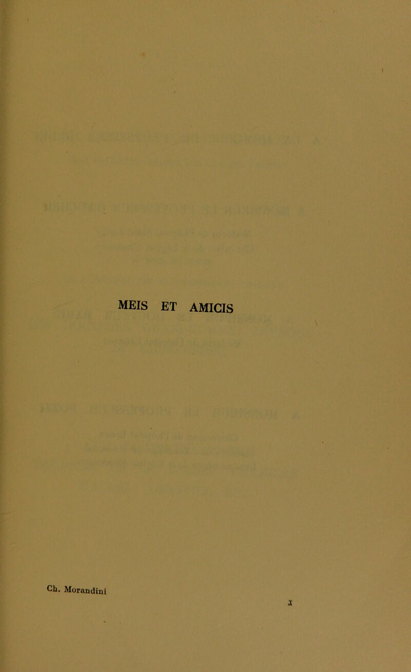 MEIS ET AMICIS Ch. Morandini o;