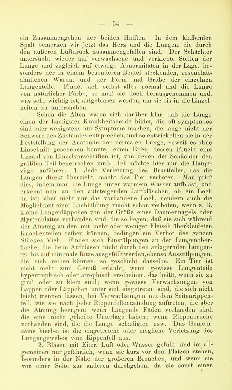 ein Zusammengehen der beiden Hälften. In dem klaffenden Spalt bemerken wir jetzt das Herz und die Lungen, die durch den äußeren Luftdruck zusammengefallen sind. Der Schächter imtersucht wieder auf verwachsene und verklebte Stellen der Lunge und zugleich auf etwaige Abnormitäten in der Lage, be- sonders der in einem besonderen Beutel steckenden, rosenblatt- ähnlichen Warda, und der Form und Größe der einzelnen Lungenteile. Findet sich selbst alles normal und die Lunge von natürlicher Farbe, so muß sie doch hei’ausgenommen und, was sehr wichtig ist, aufgeblasen werden, um sie bis in die Einzel- heiten zu untersuchen. Schon die Alten waren sich darüber klar, daß die Lunge einen der häufigsten Krankheitsherde bildet, die oft symptomlos sind oder wenigstens nur Symptome machen, die lange nicht der Schwere des Zustandes entsprechen, und so entwickelten sie in der Feststellung der Anatomie der normalen Lunge, soweit es ohne Einschnitt geschehen konnte, einen Eifer, dessen Frucht eine Unzahl von Einzelvorschriften ist, von denen der Schächter den größten Teil beherrschen muß. Ich möchte hier nur die Haupt- züge anführen. 1. Jede Verletzung des Brustfelles, das die Lungen direkt überzieht, macht das Tier verboten. Man prüft dies, indem man die Lunge unter warmem Wasser aufbläst, und erkennt nun an den aufsteigeudeir Luftbläschen, ob ein Loch da ist; aber nicht nur das vorhandene Loch, sondern auch die Möglichkeit einer Lochbildung macht schon verboten, wenn z. B. kleine Lungenläppchen von der Größe eines Daumennagels oder Myrtenblattes vorhanden sind, die so liegen, daß sie sich während der Atmung an den mit mehr oder weniger Fleisch überkleideten Knochenteilen reiben können, bedingen ein Verbot des ganzen Stückes Vieh. Finden sich Einstülpungen an der Lungenober- fläche, die beim Aufblasen nicht durch den anlagernden Lungen- teil bis auf minimale Ritze ausgefülltwerden,ebenso Ausstülpungen, die sich reiben können, so geschieht dasselbe. Ein Tier ist nicht mehr zum Genuß erlaubt, wenn gewisse Lungenteile hypertrophisch oder atrophisch erscheinen, das heißt, wenn sie zu groß oder zu klein sind; wenn gewisse Verwachsungen von Lappen oder Läppchen unter sich eingetreten sind, die sich nicht leicht trennen lassen, bei Verwachsungen mit dem Seitenrippem feU, wie sie nach jeder Rippenfellentzündung auftreten, die aber die Atmung beengen; wenn hängende Fäden vorhanden sind, die eine nicht geheilte Unterlage haben; wenn Rippenbrüche vorhanden sind, die die Lunge schädigten usw. Das Gemein- same hierbei ist die eingetretene oder mögliche Verletzung des Lungengewebes vom Rippenfell aus. 2. Blasen mit Eiter, Luft oder Wasser gefüllt sind im all- gemeinen nur gefährlich, wenn sie kurz vor dem Platzen stehen, besonders in der Nähe der größeren Bronchen, und wenn sie von einer Seite zur anderen durchgehen, da sie sonst einen