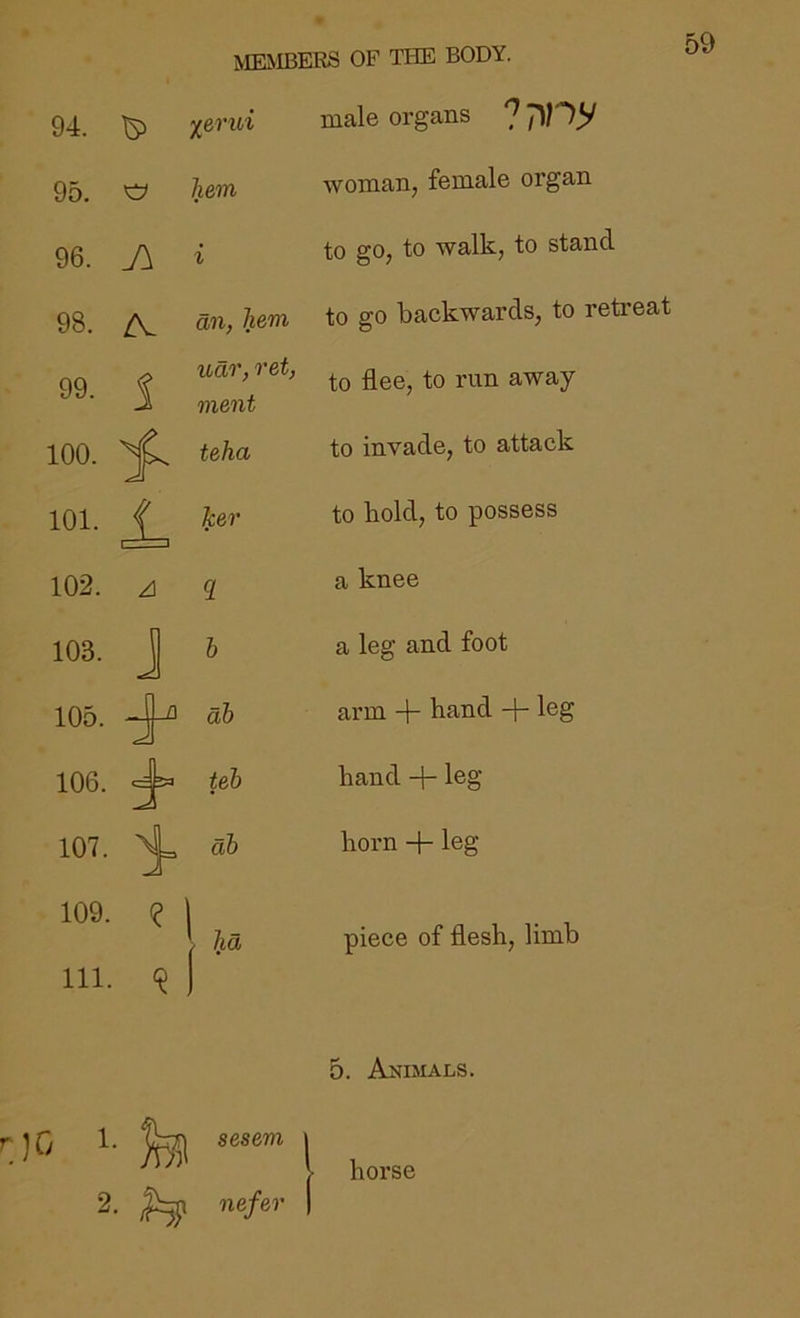 94. ^ ^erid male organs 7 95. ^ hem woman, female organ 96. A i to go, to walk, to stand 98. ZV an, hem to go backwards, to retreat 99. 1 udo', ret, ment to flee, to run away 100. ^ teha to invade, to attack 101. ^ ^er to bold, to possess 102. ^ 9. a knee 103. J b a leg and foot 105. ^ db arm hand + leg 106. ^ teb band + leg 107. db horn + leg 109. e 1 i H piece of flesh, limb 111. 9 I 5. AniJiALS. ■' sesem | i horse 2. ^ nefer I