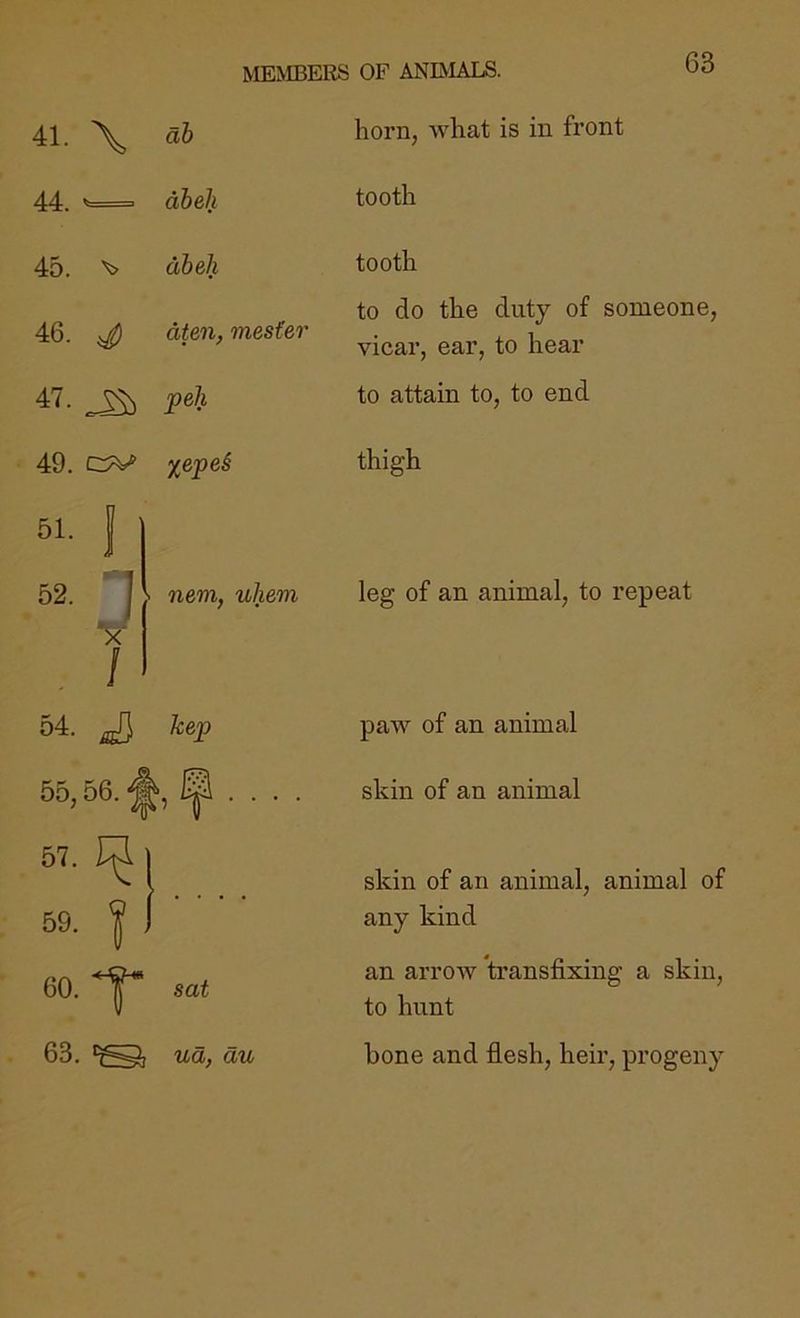 MEMBERS OF ANIMALS. 41. \ ah horn, what is in front 44. — dbeh tooth 45. dbeh tooth 46. ^ dten, mester to do the duty of someone, vicar, ear, to hear peh to attain to, to end 49. %epe§ thigh I 1 52. n • nem, uliem leg of an animal, to repeat r f X / ^ A 54. ^ kep paw of an animal 55,56. ■4 b • • • • skin of an animal 57. 59. 1 ’ . . . . skin of an animal, animal of any kind 60.‘1* sat an arrow transfixing a skin, to hunt 63. ud, du bone and flesh, heir, progeny