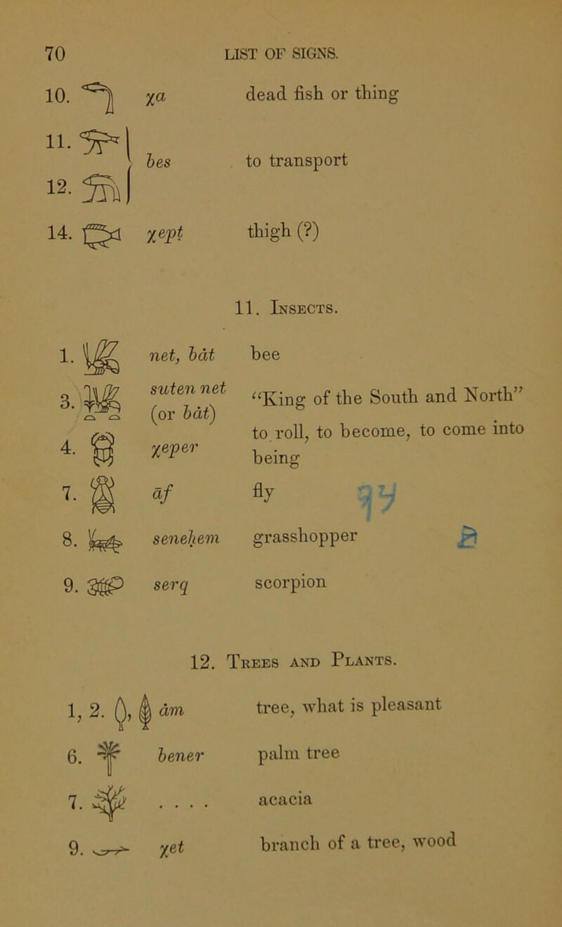 10.^ dead fish or thing hes to transport 12.^1 14.^ yept thigh (?) 11. Insects. net, hat suten net (or hat) yeper ¥ senehem bee ‘ICing of the South and North” to roll, to become, to come into being fly , „ grasshopper ^ 9. serq scorpion 12. Trees and Plants. tree, what is pleasant palm tree acacia 9. bi’anch of a tree, wood