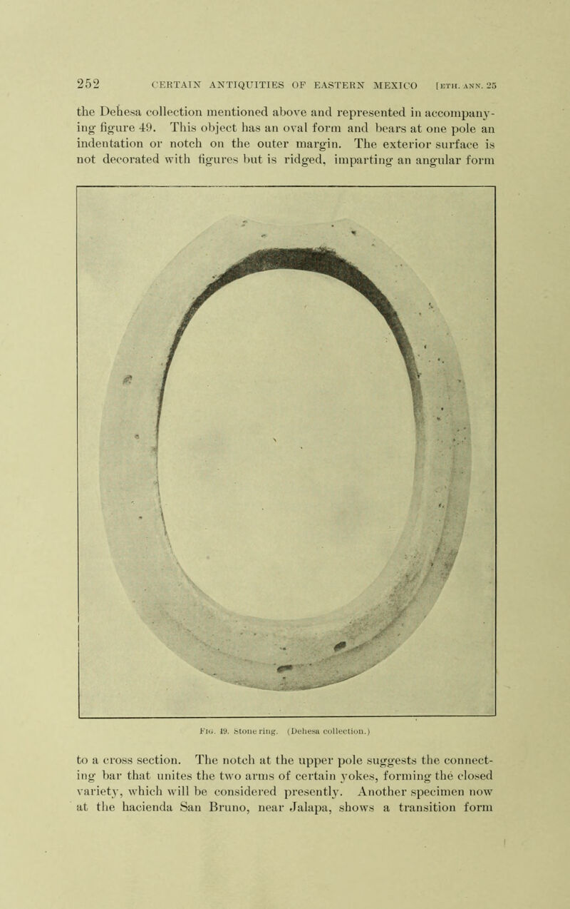 the Dehe.sa collection mentioned above and represented in accompany- ing figure dO. This object has an oval form and bears at one pole an indentation or notch on the outer margin. The exterior surface is not decorated with figures but is ridged, imparting an angular form Fui. 19. fatoiiering. (Dehesa collection.) to a cross section. The notch at the upper pole suggests the connect- ing bar that unites the two arms of certain yokes, forming the closed variety, which will be considered presently. Another specimen now at the hacienda San Bruno, near Jalapa, shows a transition form