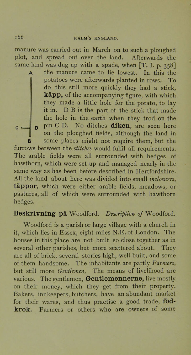 manure was carried out in March on to such a ploughed plot, and spread out over the land. Afterwards the same land was dug up with a spade, when [T. I. p. 358] A the manure came to lie lowest. In this the potatoes were afterwards planted in rows. To do this still more quickly they had a stick, käpp, of the accompanying figure, with which they made a little hole for the potato, to lay it in. D B is the part of the stick that made the hole in the earth when they trod on the j pin C D. No ditches diken, are seen here on the ploughed fields, although the land in B some places might not require them, but the furrows between the stitches would fulfil all requirements. The arable fields were all surrounded with hedges of hawthorn, which were set up and managed nearly in the same way as has been before described in Hertfordshire. All the land about here was divided into small inclosures, täppor, which were either arable fields, meadows, or pastures, all of which were surrounded with hawthorn hedges. Beskrivning på Woodford. Description of Woodford. Woodford is a parish or large village with a church in it, which lies in Essex, eight miles N.E.of London. The houses in this place are not built so close together as in several other parishes, but more scattered about. They are all of brick, several stories high, well built, and some of them handsome. The inhabitants are partly Farmers, but still more Gentlemen. The means of livelihood are various. The gentlemen, Gentlemennerne, live mostly on their money, which they get from their property. Bakers, innkeepers, butchers, have an abundant market for their wares, and thus practise a good trade, föd- krok. Farmers or others who are owners of some