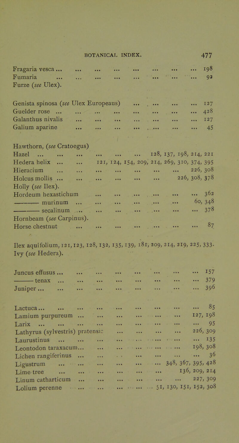 Fragaria vesca... Fumaria Furze (see Ulex). BOTANICAI, INDEX. 477 ... 198 ... 92 Genista spinosa (see Ulex Europeaus) Guelder rose Galanthus nivalis Galium aparine 127 428 127 45 i Hawthorn, (see Cratoegus) Hazel Hedera helix 121,124, Hieracium Holcus mollis Holly (see Ilex). Hordeum hexastichum murinum secalinum ... Hornbeam (see Carpinus). Horse chestnut ... 128, 137, 198, 214, 221 154, 209, 214, 269, 310, 374, 395 226, 308 226, 308, 378 362 ... 60, 348 378 87 Ilex aquifolium, 121,123, 128,132, 135, i39> 181, 209, 214, 219, 225, 333. Ivy (see Hedera). Juncus effusus tenax Juniper Lactuca... Lamium purpureum Larix Lathyrus (sylvestris) praten si 2 Laurustinus Leontodon taraxacum Lichen rangiferinus Ligustrum Lime tree Linum catharticum Lolium perenne 157 379 396 85 127, 198 95 226, 309 ■ 135 198, 308 36 348, 367, 395, 428 136, 209, 214 227, 309 51, 130, 151, 152, 308