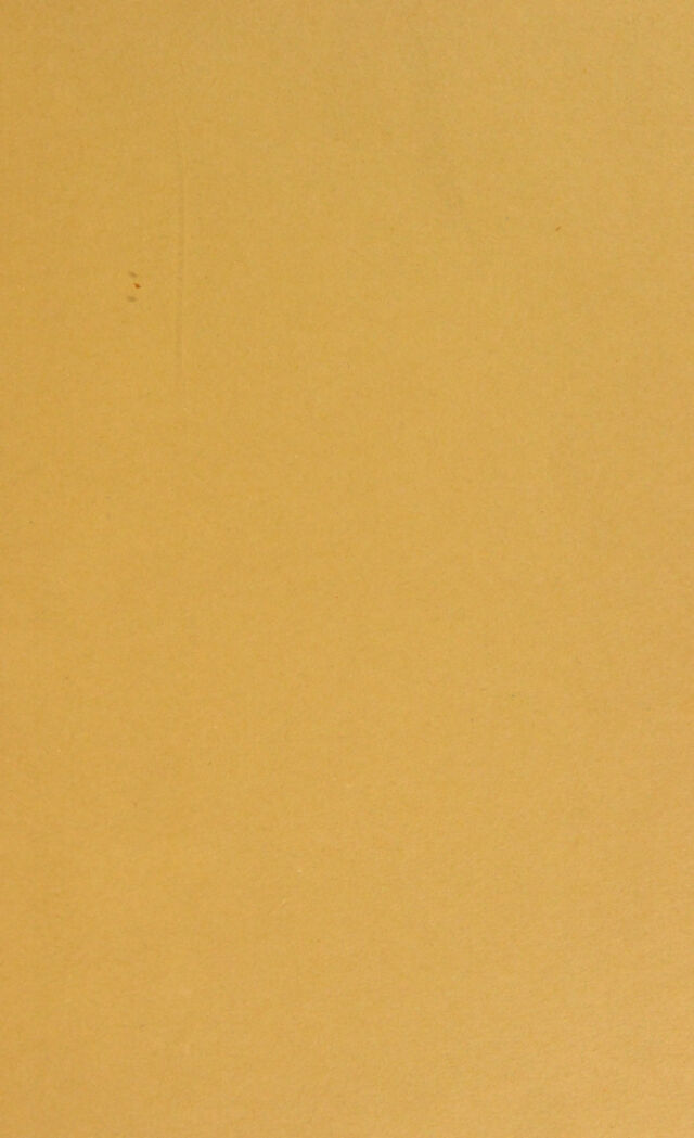 digitised image 3