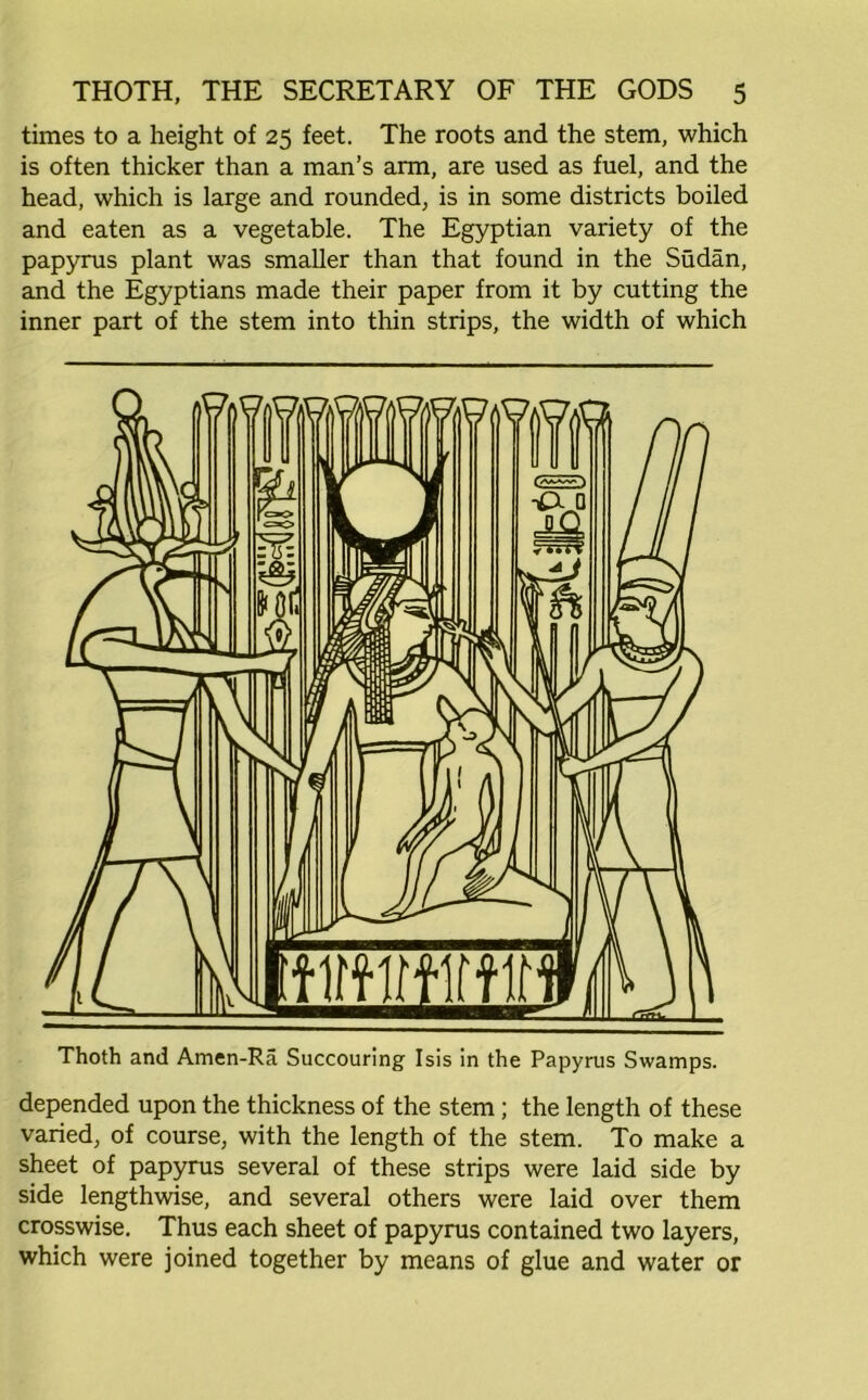 times to a height of 25 feet. The roots and the stem, which is often thicker than a man’s arm, are used as fuel, and the head, which is large and rounded, is in some districts boiled and eaten as a vegetable. The Egyptian variety of the papyrus plant was smaller than that found in the Sudan, and the Egyptians made their paper from it by cutting the inner part of the stem into thin strips, the width of which Thoth and Amen-Ra Succouring Isis in the Papyrus Swamps. depended upon the thickness of the stem; the length of these varied, of course, with the length of the stem. To make a sheet of papyrus several of these strips were laid side by side lengthwise, and several others were laid over them crosswise. Thus each sheet of papyrus contained two layers, which were joined together by means of glue and water or