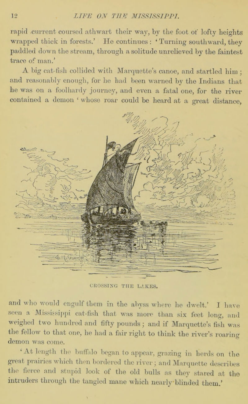 rapid .current coursed athwart their way, by the foot of lofty heights wrapped thick in forests.’ He continues : ‘ Turning southward, they paddled down the stream, through a solitude unrelieved by the faintest trace of man.’ A big cat-fish collided with Marquette’s canoe, and startled him ; and reasonably enough, for he had been warned by the Indians that he was on a foolhardy journey, and even a fatal one, for the river contained a demon ‘ whose roar could be heard at a great distance, CROSSING THE LAKES. and who would engulf them in the abyss where he dwelt.’ I have seen a Mississippi cat-fish that was more than six feet long, and weighed two hundred and fifty pounds; and if Marquette’s fish was the fellow to that one, he had a fair right to think the river’s roaring demon was come. ‘At length the buffalo began to appear, grazing in herds on the great prairies which then bordered the river; and Marquette describes the fierce and stupid look of the old bulls as they stared at the intruders through the tangled mane which nearly blinded them.’