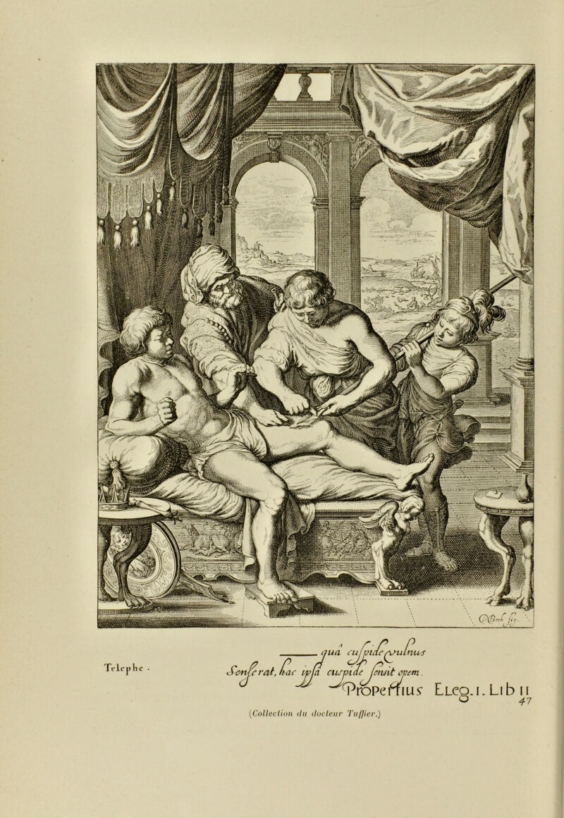 [Colleclioii (In doclcnr Tii/Jicr.)