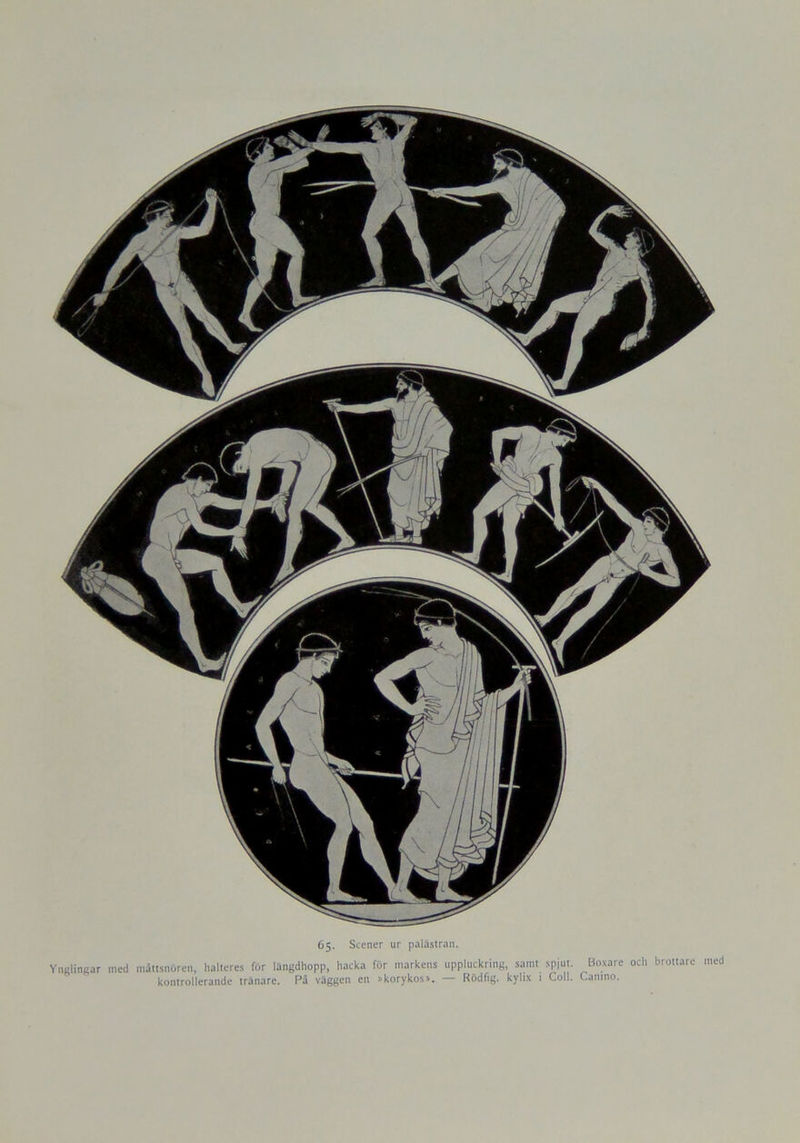65- Scener ur palästran. Ynglingar med måttsnören, halteres för längdhopp, hacka för markens uppluckring, samt spjut. Boxare och brottare med kontrollerande tränare. På väggen en »korykos». — Rödfig. kyhx t Coll. Camno.