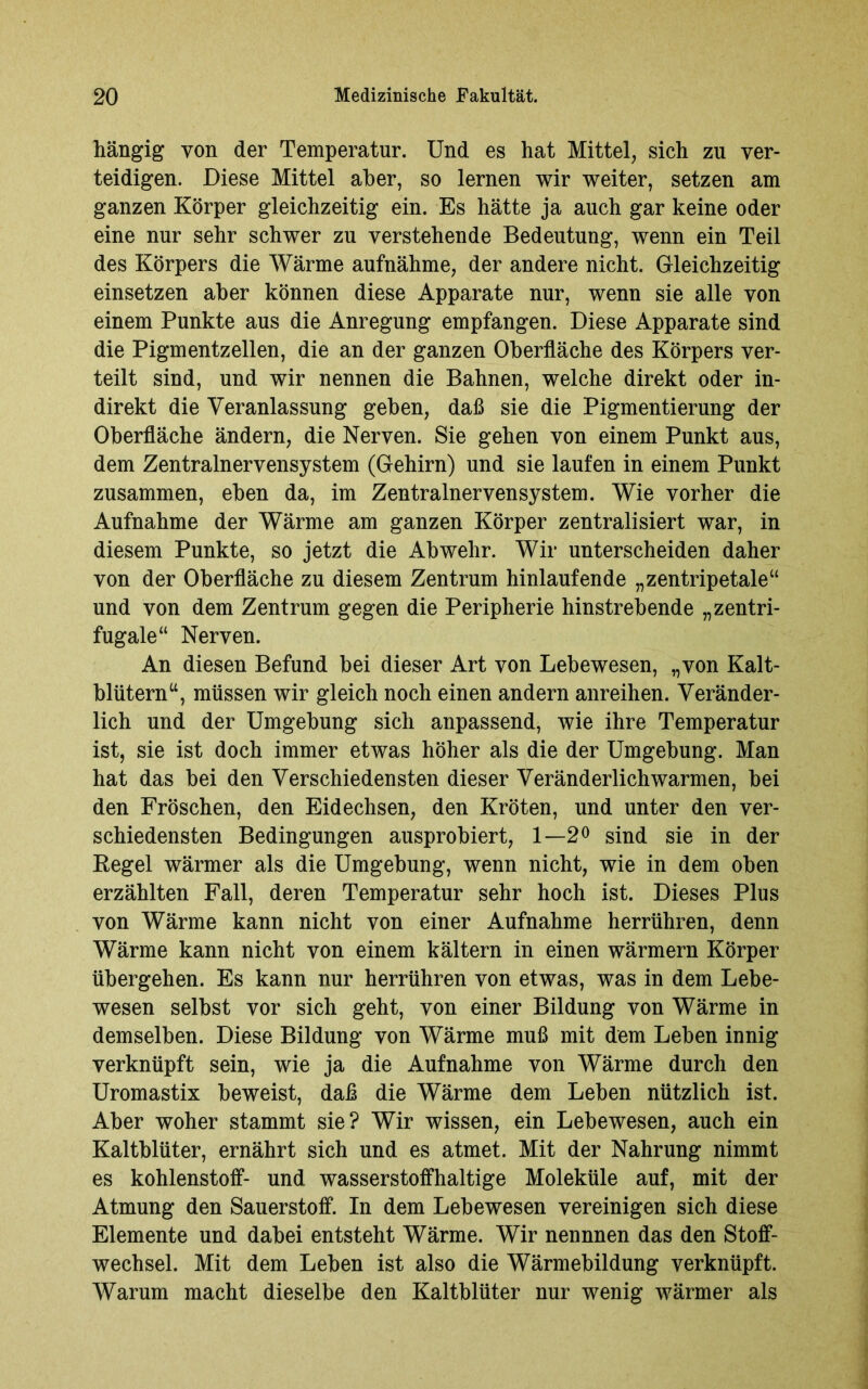 hängig von der Temperatur. Und es hat Mittel, sich zu ver- teidigen. Diese Mittel aber, so lernen wir weiter, setzen am ganzen Körper gleichzeitig ein. Es hätte ja auch gar keine oder eine nur sehr schwer zu verstehende Bedeutung, wenn ein Teil des Körpers die Wärme aufnähme, der andere nicht. Gleichzeitig einsetzen aber können diese Apparate nur, wenn sie alle von einem Punkte aus die Anregung empfangen. Diese Apparate sind die Pigmentzellen, die an der ganzen Oberfläche des Körpers ver- teilt sind, und wir nennen die Bahnen, welche direkt oder in- direkt die Veranlassung geben, daß sie die Pigmentierung der Oberfläche ändern, die Nerven. Sie gehen von einem Punkt aus, dem Zentralnervensystem (Gehirn) und sie laufen in einem Punkt zusammen, eben da, im Zentralnervensystem. Wie vorher die Aufnahme der Wärme am ganzen Körper zentralisiert war, in diesem Punkte, so jetzt die Abwehr. Wir unterscheiden daher von der Oberfläche zu diesem Zentrum hinlaufende „zentripetale“ und von dem Zentrum gegen die Peripherie hinstrebende „zentri- fugale“ Nerven. An diesen Befund bei dieser Art von Lebewesen, „von Kalt- blütern“, müssen wir gleich noch einen andern anreihen. Veränder- lich und der Umgebung sich anpassend, wie ihre Temperatur ist, sie ist doch immer etwas höher als die der Umgebung. Man hat das bei den Verschiedensten dieser Veränderlich warmen, bei den Fröschen, den Eidechsen, den Kröten, und unter den ver- schiedensten Bedingungen ausprobiert, 1—2° sind sie in der Kegel wärmer als die Umgebung, wenn nicht, wie in dem oben erzählten Fall, deren Temperatur sehr hoch ist. Dieses Plus von Wärme kann nicht von einer Aufnahme herrühren, denn Wärme kann nicht von einem kältern in einen wärmern Körper übergehen. Es kann nur herrühren von etwas, was in dem Lebe- wesen selbst vor sich geht, von einer Bildung von Wärme in demselben. Diese Bildung von Wärme muß mit dem Leben innig verknüpft sein, wie ja die Aufnahme von Wärme durch den Uromastix beweist, daß die Wärme dem Leben nützlich ist. Aber woher stammt sie? Wir wissen, ein Lebewesen, auch ein Kaltblüter, ernährt sich und es atmet. Mit der Nahrung nimmt es kohlenstoff- und wasserstoffhaltige Moleküle auf, mit der Atmung den Sauerstoff. In dem Lebewesen vereinigen sich diese Elemente und dabei entsteht Wärme. Wir nennnen das den Stoff- wechsel. Mit dem Leben ist also die Wärmebildung verknüpft. Warum macht dieselbe den Kaltblüter nur wenig wärmer als