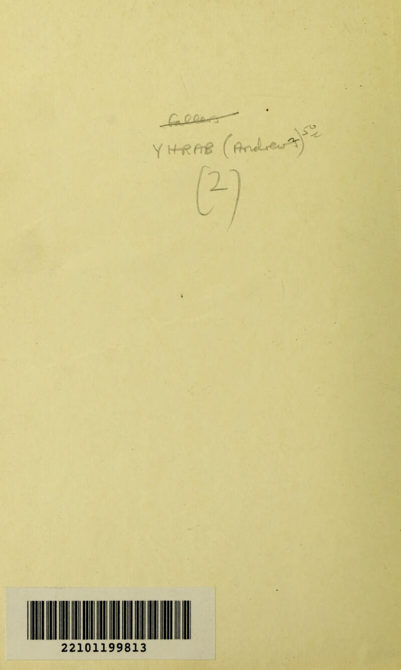 22101199813