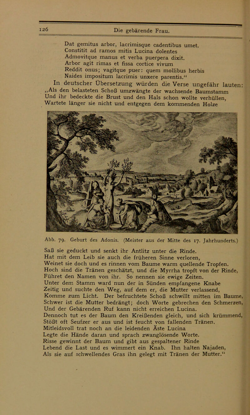 Dat gemitus arbor, lacrimisque cadentibus umet. Constitit ad ramos mitis Lucina dolentes Admovitque manus et verba puerpera dixit. Arbor agit rimas et fissa cortice vivum Reddit onus; vagitque puer: quem mollibus herbis Naides impositum lacrimis unxere parentis.“ In deutscher Übersetzung würden die Verse ungefähr lauten: ,,Als den belasteten Schoß umzwängte der wachsende Baumstamm Und ihr bedeckte die Brust und den Hals schon wollte verhüllen, Wartete länger sie nicht und entgegen dem kommenden Holze Abb. 79. Geburt des Adonis. (Meister aus der Mitte des 17. Jahrhunderts.) Saß sie geduckt und senkt ihr Antlitz unter die Rinde. Hat mit dem Leib sie auch die früheren Sinne verloren, Weinet sie doch und es rinnen vom Baume warm quellende Tropfen. Hoch sind die Tränen geschätzt, und die Myrrha tropft von der Rinde, Führet den Namen von ihr. So nennen sie ewige Zeiten. Unter dem Stamm ward nun der in Sünden empfangene Knabe Zeitig und suchte den Weg, auf dem er, die Mutter verlassend, Komme zum Licht. Der befruchtete Schoß schwillt mitten im Baume, Schwer ist die Mutter bedrängt; doch Worte gebrechen den Schmerzen, Und der Gebärenden Ruf kann nicht erreichen Lucina. Dennoch tut es der Baum den Kreißenden gleich, und sich krümmend, Stößt oft Seufzer er aus und ist feucht von fallenden Tränen. Mitleidsvoll trat noch an die leidenden Äste Lucina Legte die Hände daran und sprach zwanglösende Worte. Risse gewinnt der Baum und gibt aus gespaltener Rinde Lebend die Last und es wimmert ein Knab. Ihn halten Najaden, Als sie auf schwellendes Gras ihn gelegt mit Tränen der Mutter.“