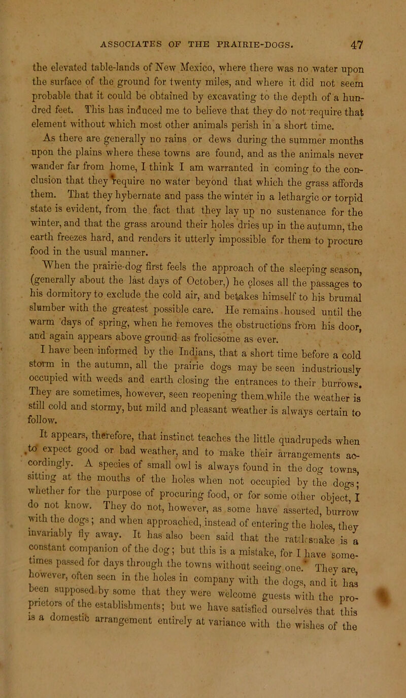 the elevated table-lands of New Mexico, where there was no water upon the surface of the ground for twenty miles, and where it did not seem probable that it could be obtained by excavating to the depth of a hun- dred feet. This has induced me to believe that they do not require that element without which most other animals perish in a short time. As there are generally no rains or dews during the summer months upon the plains where these towns are found, and as the animals never wander for from home, I think I am warranted in coming to the con- clusion that they Require no water beyond that which the grass affords them. That they hybernate and pass the winter in a lethargic or torpid state is evident, from the fact that they lay up no sustenance for the winter, and that the grass around their holes dries up in the autumn, the earth freezes hard, and renders it utterly impossible for them to procure food in the usual manner. hen the prairie-dog first feels the approach of the sleeping season, (generally about the last days of October,) he closes all the passages to his dormitory to exclude the cold air, and betakes himself to his brumal slumber with the greatest possible care. He remains housed until the warm days of spring, when he removes the obstructions from his door, and again appears above ground as frolicsome as ever. I have been informed by the Indians, that a short time before a cold st°rm in the autumn, all the prairie dogs may be seen industriously occupied with weeds and earth closing the entrances to their burrows. They are sometimes, however, seen reopening them.while the weather is still cold and stormy, but mild and pleasant weather is always certain to follow. It appears, therefore, that instinct teaches the little quadrupeds when to expect good or bad weather, and to make their arrangements ac- cordingly. A species of small owl is always found in the dog towns sitting at the mouths of the holes when not occupied by the dogs* whether for the purpose of procuring food, or for some other object, I do not know. They do not, however, as some have asserted, burrow with the dogs; and when approached, instead of entering the holes they invariably fly away. It has also been said that the rattlesnake is a constant companion of the dog; but this is a mistake, for I have some- times passed for days through the towns without seeing one * They are owever, often seen in the holes in company with the dogs, and it has been supposed by some that they were welcome guests with the pro- prietors of the establishments; but we have satisfied ourselves that this is a domestib arrangement entirely at variance with the wishes of the