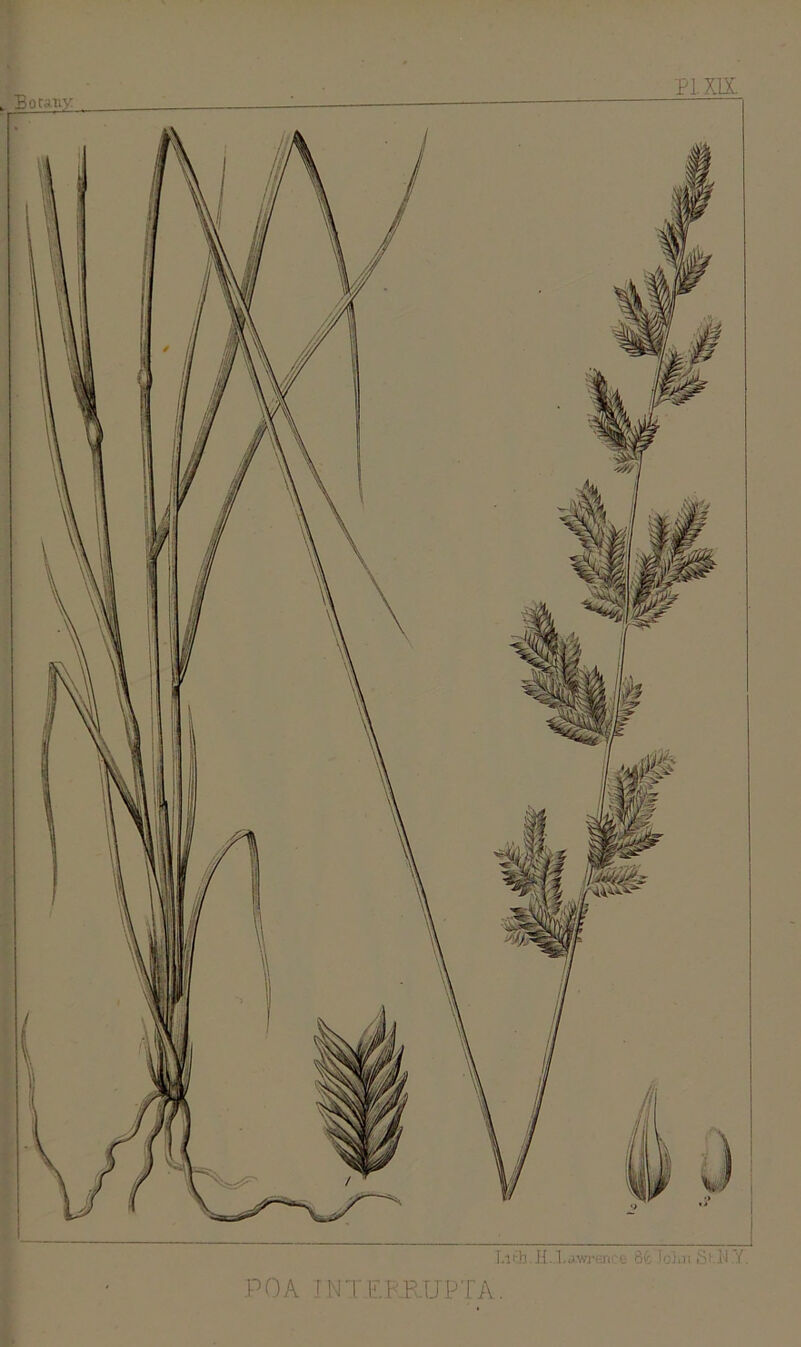 Bo cany PI XIX Ll 6b.HJ.awmtce 8fc John Si.iP/. PGA INT.ERRUPTA.