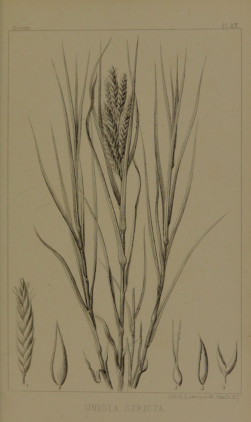 UNTOLA oTP J CTA. i .ii i...r,vr , • 3G Jolni Sr NX