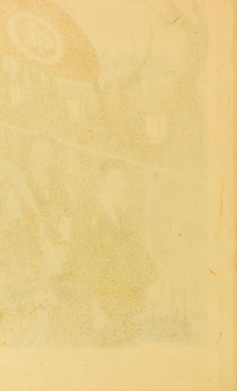 ’f r /'^ ’£.4'.V ,4?--TA>ia ^ r ’^■ l.fr' .♦r^ '^' r*>^ r- ' <f.-v. »*f -■ j • ^ *v ^ ■• ' ** - - . - - . i' '« I L«^‘ . I,v- v*’^ •* t~ ^ ■ • -- * , ,.v I?* a'^.'5 ••' f> %'■ )' ■si ,^' f Wi V j% •; U ^*- ■ rd r -*, K--ff . •* •'Iv .J4../ • . • I >.. fi, \ .J7‘\ '* * L^i* A ^ fc ^»'* • K.'V*-’ ^^4 . »■ ' ■,/ 1^ '^i ■*L'» OL\k •* V.d-.S'JJ' J ' >v * '* ' vX«-A<i*p!: '.f ^ \?\^t,u:'* f w ,‘t%. •'X ■ ' - - J* . t - ’ ^t*4 '.• ‘ f ? **' *1^ ^ A . V3i - ^ IV* •4:», ■, ■♦. **!i ■'( '-U ' -VI \Sr IX ‘I; ■ *r