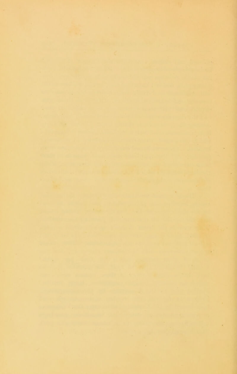 I 1 tr ’ t W- * ># «W-' , >' ^ f. j • ; ■ .. ¥ I :.■ . /I * .«■■ • u * ?r ‘ *' .*' > .,. * *• ■• * * ‘ -■ ,rt' /-'• •‘- ■'. ''.(h ■■ 'Y -,U^TW 4| ■ •■ r- ■A