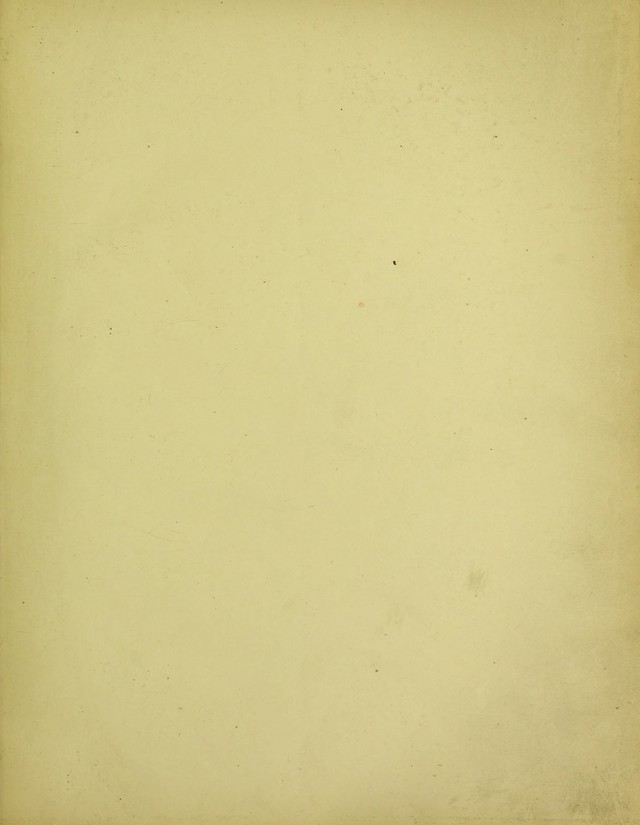digitised image 3
