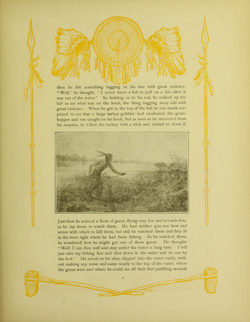 “Well,” he thought, “I never knew a fish to pull on a line after it was out of the water.” So holding on to his rod, he walked up the hill to see what was on the hook, the thing tugging away still with great violence. When he got to the top of the hill he was much sur- prised to see that a large turkey gobbler had swallowed the grass- hopper and was caught on his hook, but as soon as he recovered from his surprise, he killed the turkey with a stick and started to dress it. Just then he noticed a flock of geese, flying very low and towards him, so he lay down to watch them. He had neither gun nor bow and arrow with which to kill them, but still he watched them and they lit in the river right where he had been fishing. As he watched them, he wondered how he might get one of those geese. He thought: “Well I can dive well and stay under the water a long time. I will just take my fishing line and dive down in the water and tie one by the foot.” He acted on his idea, slipped into the water easily, with- out making any noise and came nearly to the top of the water, where the geese were and where he could see all their feet paddling around.