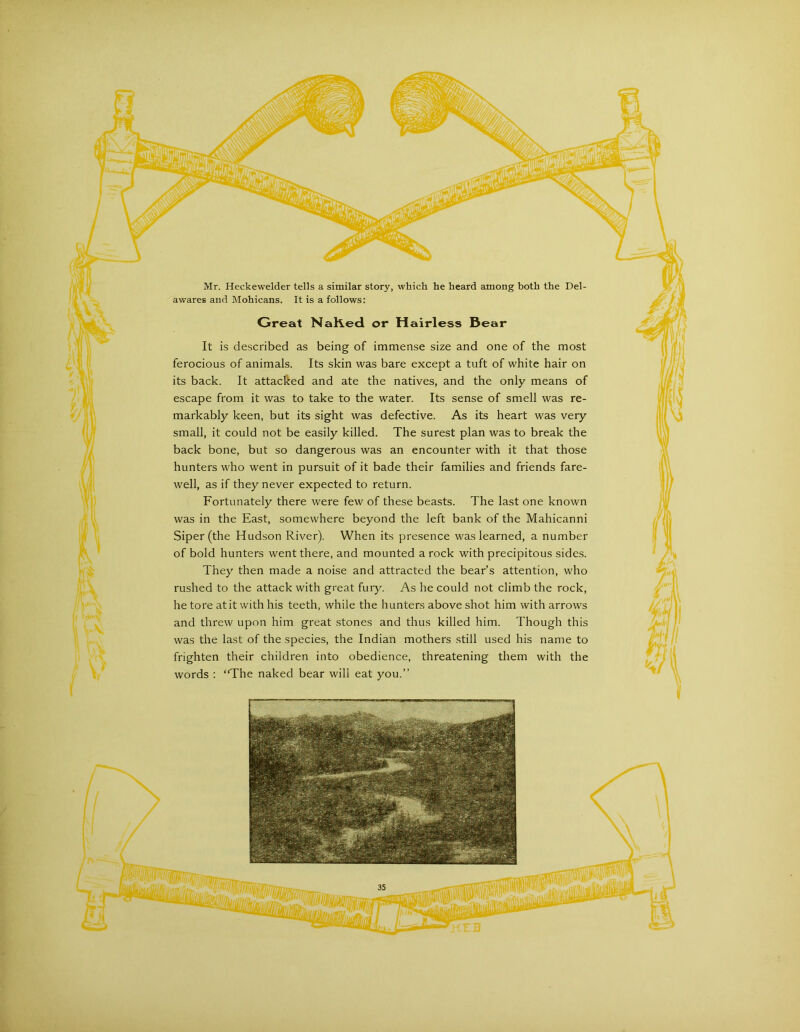 Mr. Heckewelder tells a similar story, which he heard among both the Del- awares and Mohicans. It is a follows: Great NaKed or Hairless Bear It is described as being of immense size and one of the most ferocious of animals. Its skin was bare except a tuft of white hair on its back. It attacked and ate the natives, and the only means of escape from it was to take to the water. Its sense of smell was re- markably keen, but its sight was defective. As its heart was very small, it could not be easily killed. The surest plan was to break the back bone, but so dangerous was an encounter with it that those hunters who went in pursuit of it bade their families and friends fare- well, as if they never expected to return. Fortunately there were few of these beasts. The last one known was in the East, somewhere beyond the left bank of the Mahicanni Siper (the Hudson River). When its presence was learned, a number of bold hunters went there, and mounted a rock with precipitous sides. They then made a noise and attracted the bear’s attention, who rushed to the attack with great fuiy. As he could not climb the rock, he tore at it with his teeth, while the hunters above shot him with arrows and threw upon him great stones and thus killed him. Though this was the last of the species, the Indian mothers still used his name to frighten their children into obedience, threatening them with the words : “The naked bear will eat you.’’