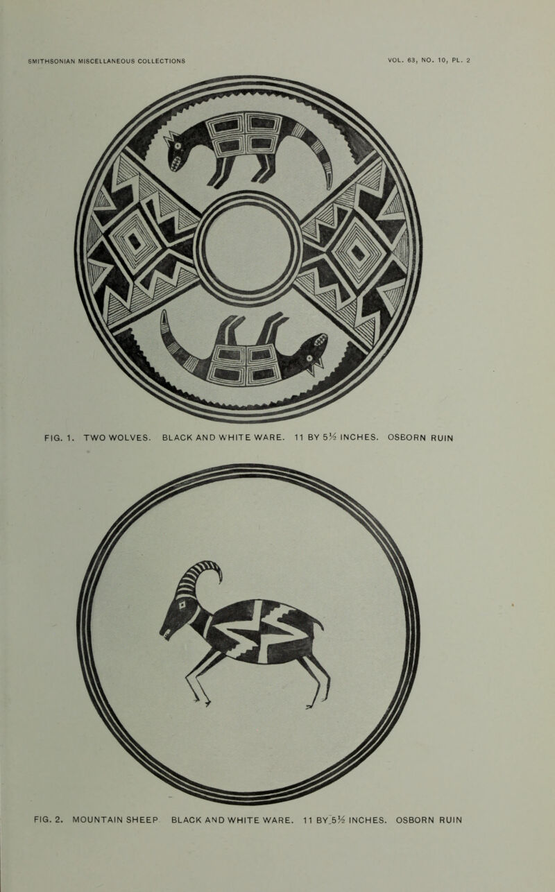 FIG. 2. MOUNTAIN SHEEP BLACK AND WHITE WARE. 11 BYIsM INCHES OSBORN RUIN