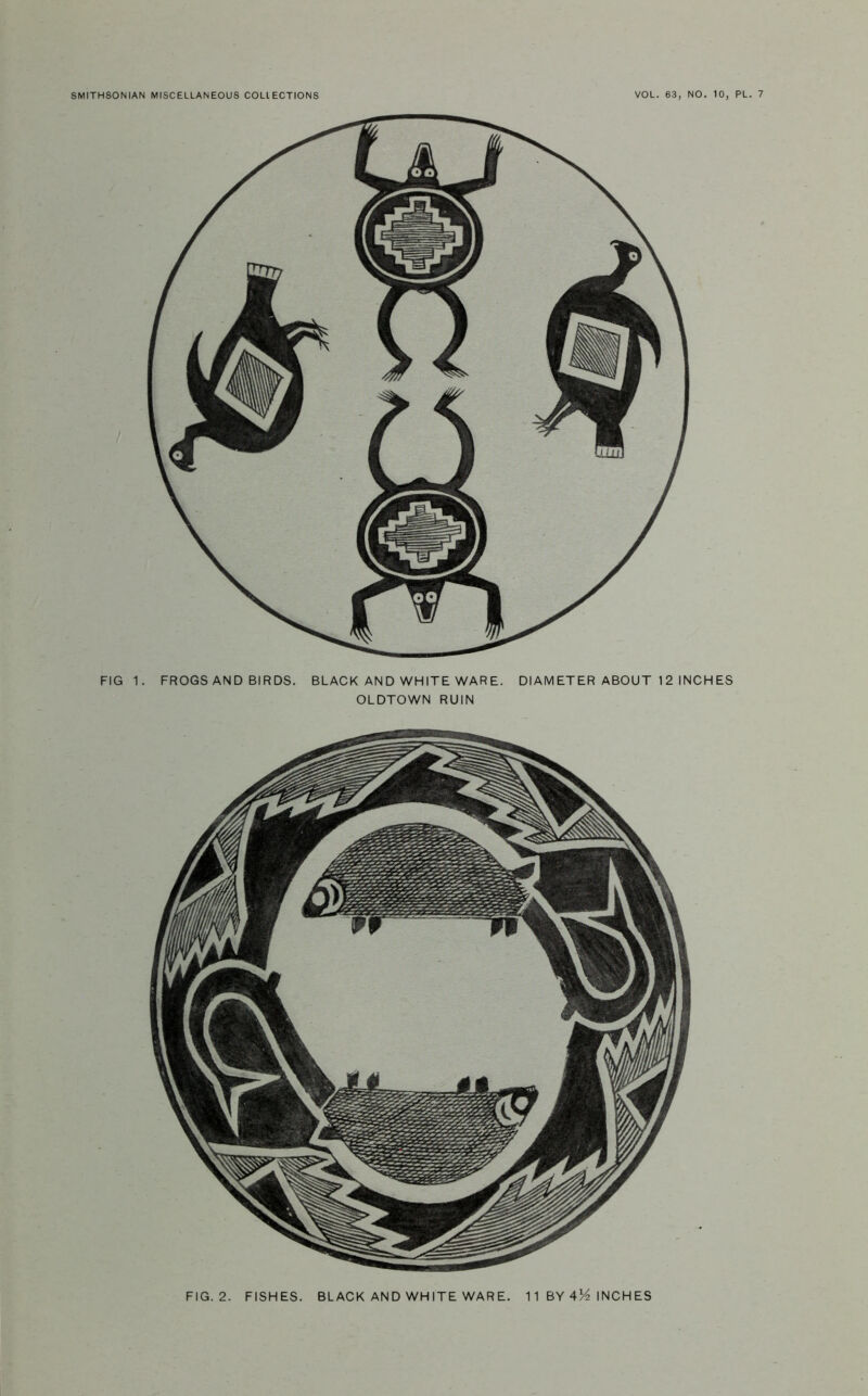 . FROGS AND BIRDS. BLACK AND WHITE WARE. OLDTOWN RUIN DIAMETER ABOUT 12 INCHES FIG. 2. FISHES. BLACK AND WHITE WARE. 11 BY 4^ INCHES