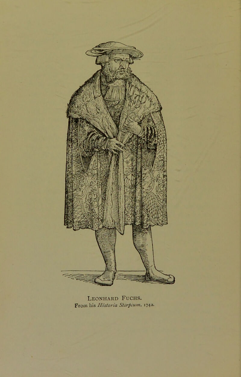 Leonhard Fuchs. From his Historia Stirpiuiiit 1742.