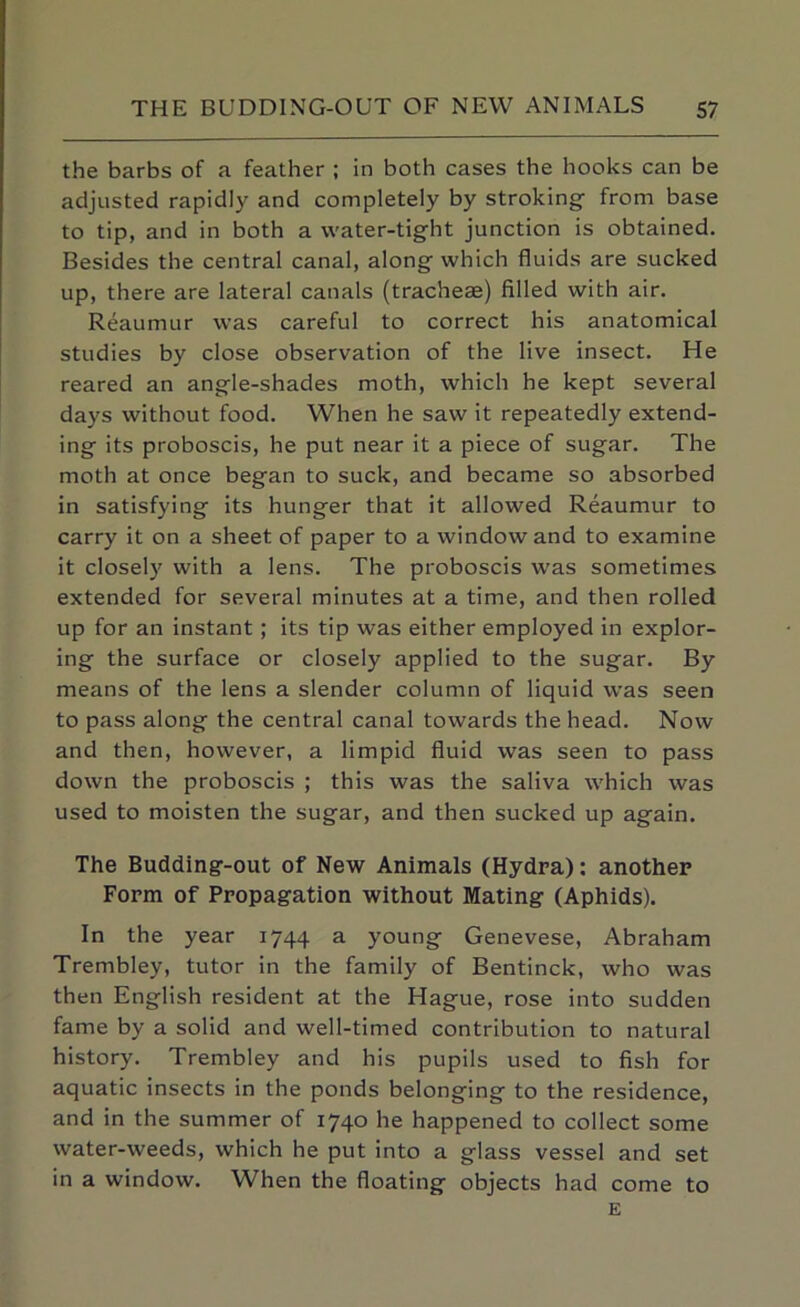 the barbs of a feather ; in both cases the hooks can be adjusted rapidly and completely by stroking- from base to tip, and in both a water-tight junction is obtained. Besides the central canal, along which fluids are sucked up, there are lateral canals (tracheae) filled with air. Reaumur was careful to correct his anatomical studies by close observation of the live insect. He reared an angle-shades moth, which he kept several days without food. When he saw it repeatedly extend- ing its proboscis, he put near it a piece of sugar. The moth at once began to suck, and became so absorbed in satisfying its hunger that it allowed Reaumur to carry it on a sheet of paper to a window and to examine it closely with a lens. The proboscis was sometimes extended for several minutes at a time, and then rolled up for an instant ; its tip was either employed in explor- ing the surface or closely applied to the sugar. By means of the lens a slender column of liquid was seen to pass along the central canal towards the head. Now and then, however, a limpid fluid was seen to pass down the proboscis ; this was the saliva which was used to moisten the sugar, and then sucked up again. The Budding-out of New Animals (Hydra): another Form of Propagation without Mating (Aphids). In the year 1744 a young Genevese, Abraham Trembley, tutor in the family of Bentinck, who was then English resident at the Hague, rose into sudden fame by a solid and well-timed contribution to natural history. Trembley and his pupils used to fish for aquatic insects in the ponds belonging to the residence, and in the summer of 1740 he happened to collect some water-weeds, which he put into a glass vessel and set in a window. When the floating objects had come to E