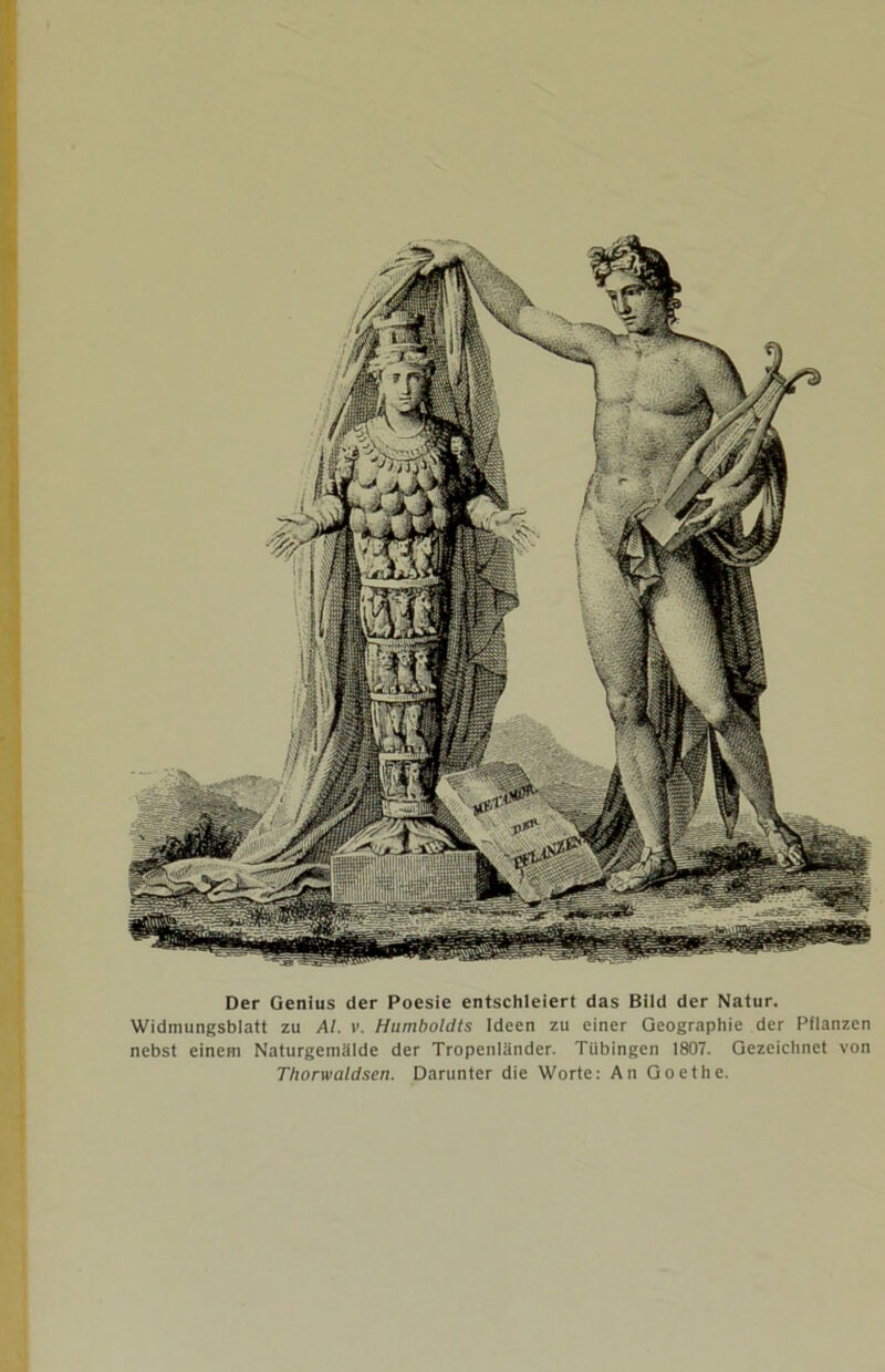 Der Genius der Poesie entschleiert das Bild der Natur. Widmungsblatt zu Al. v. Humboldts Ideen zu einer Geographie der Pflanzen nebst einem Naturgemälde der Tropenländer. Tübingen 1807. Gezeichnet von Thorwaldsen. Darunter die Worte: An Goethe.